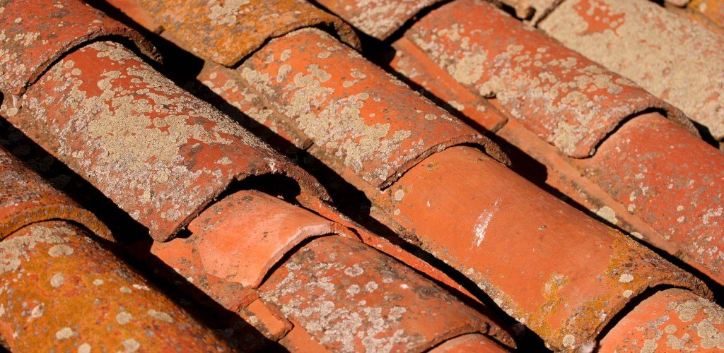 Roof-Tile-6-1024x500.jpeg