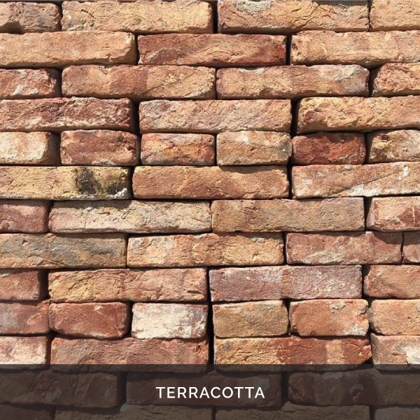 terracotta.png