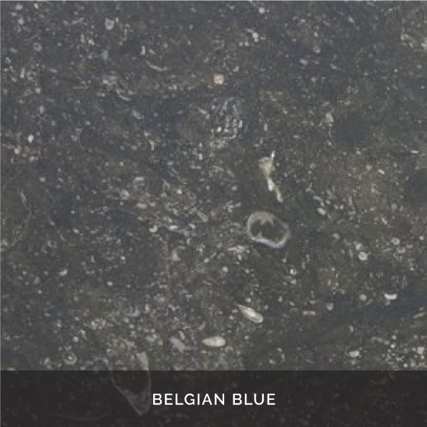 belgian-blue.jpeg