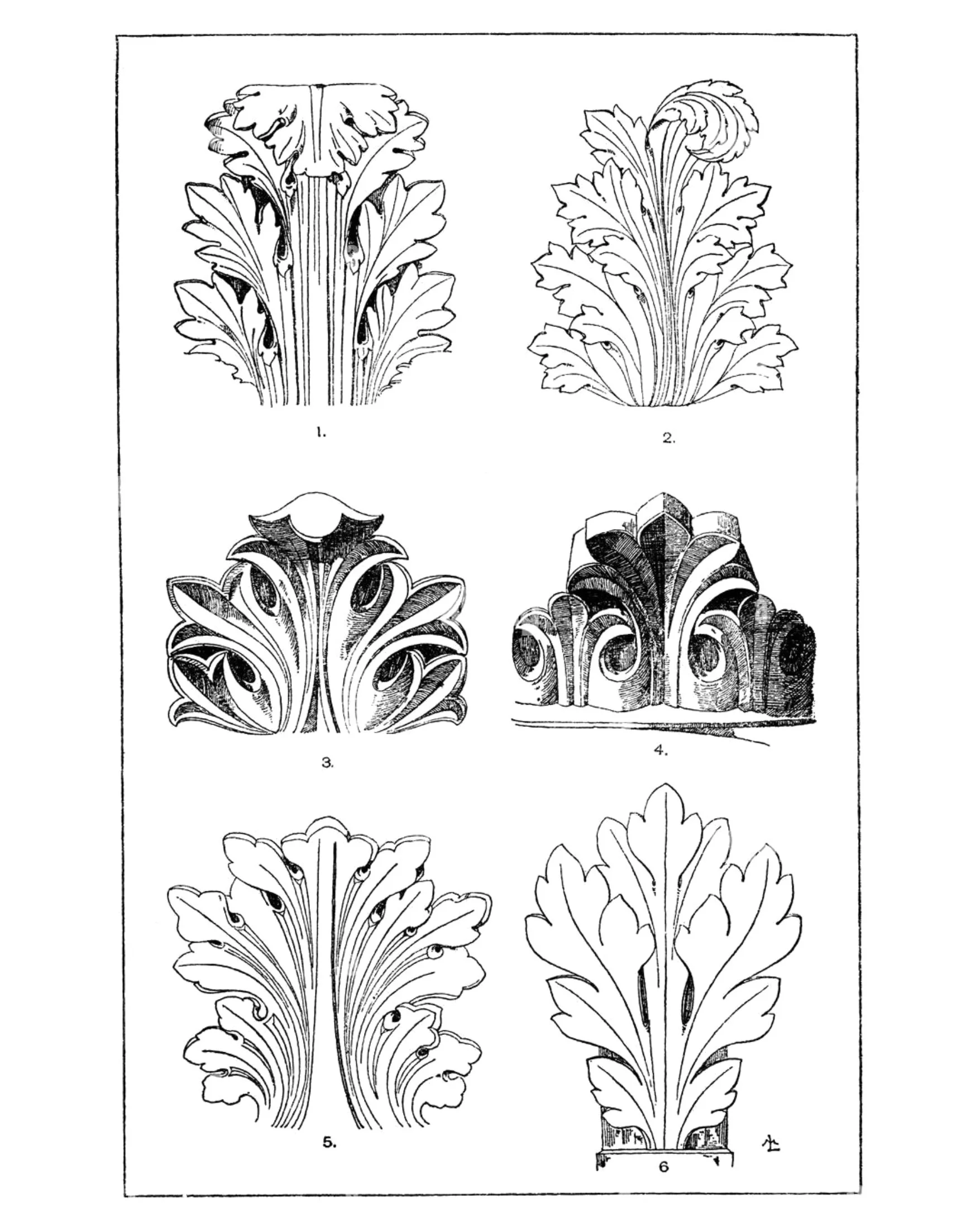 STUDY OF CORINTHIAN CAPITALS-3.jpg