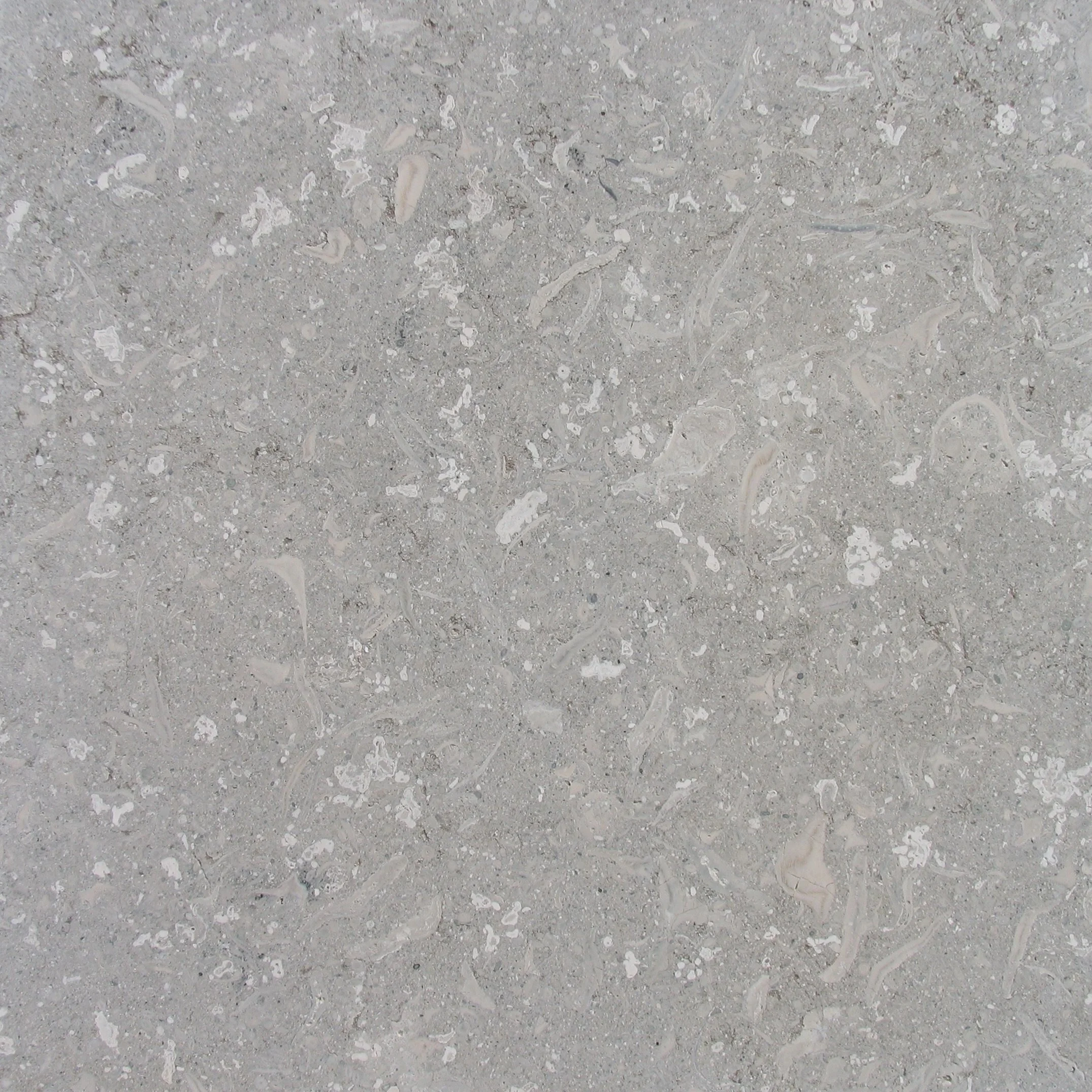 MATERIAL SPOTLIGHT: GRIGIO ALPI
A light grey material, recently rediscovered by modern architecture, characterized by the presence of micro fossils. 
It is suitable both for internal + external claddings, floors and internal staircases, and every oth