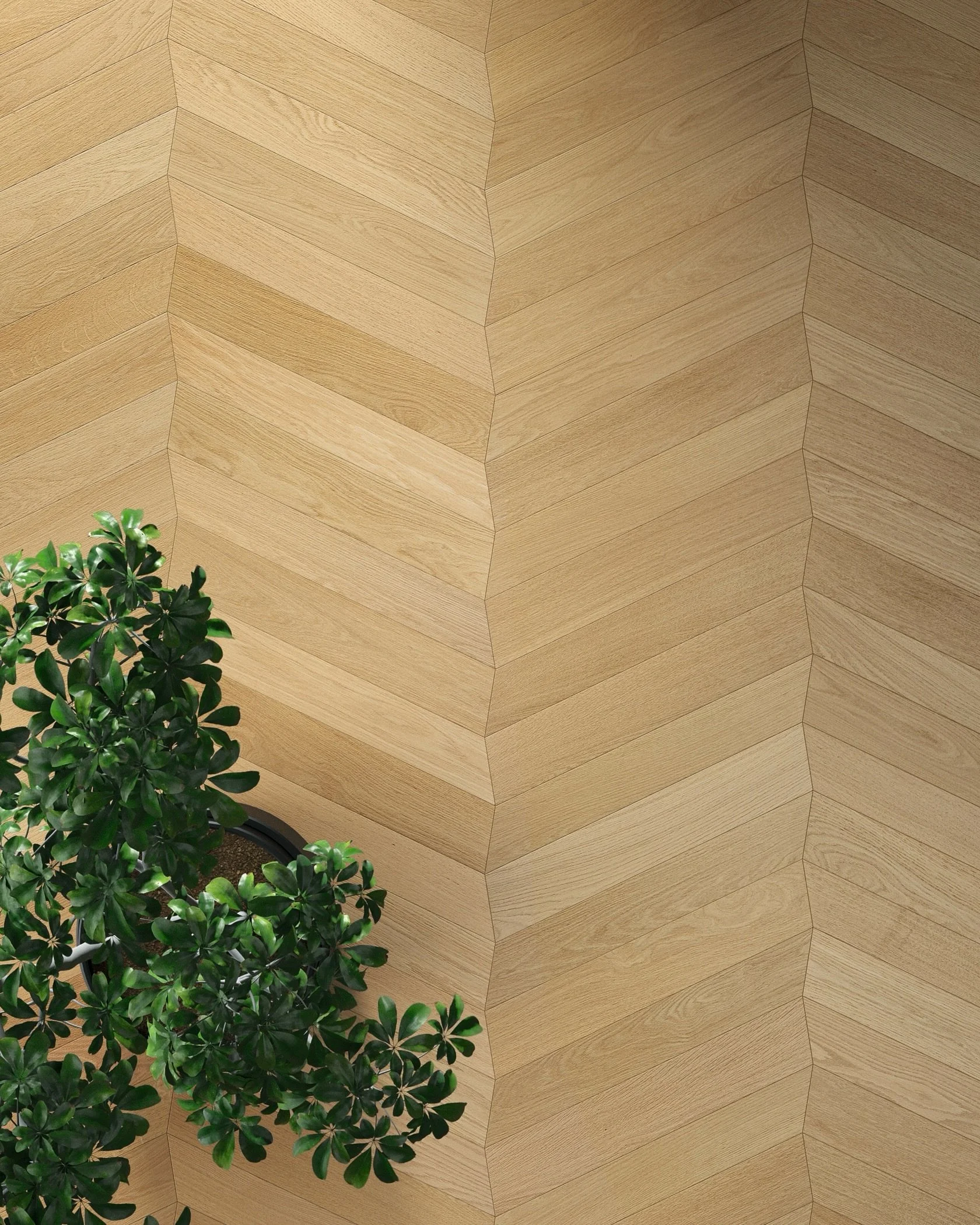 MALASPINA Wood Collection

&ldquo;The iconic chevron pattern is reinterpreted, shaken, transformed. The regular lines crack, break, and chase each other in a design that seems born by chance, yet in reality holds a hidden logic.&rdquo;

Reach out for