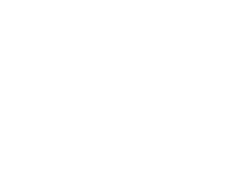 Gallery-Images_0005_The-Guardian.png