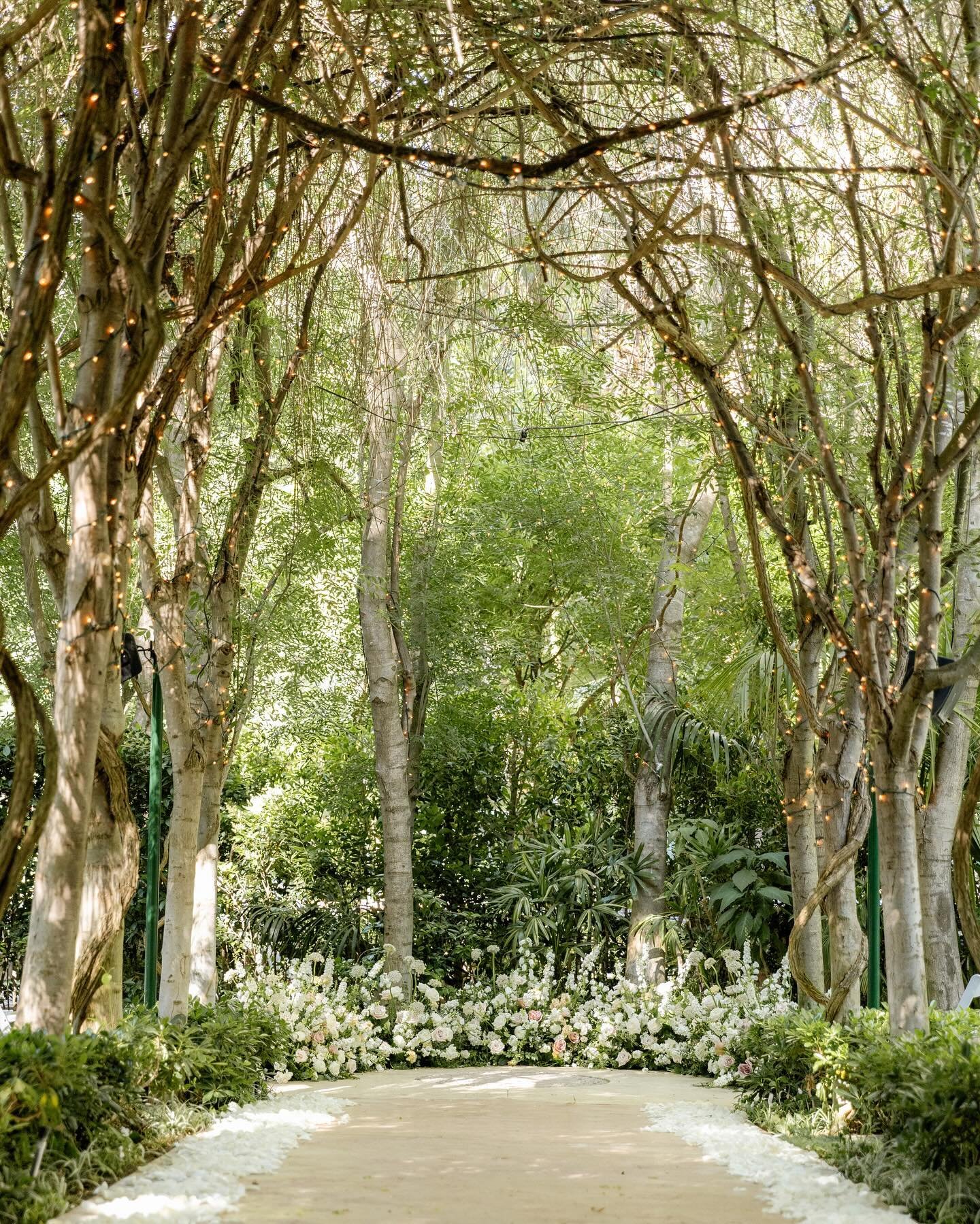 A secret garden wedding under the most magical canopy of trees 🤍
.
.
.
Photography: @thejustinjay 
Planner: @the.event.avenue 
Floral Design: @solstice_bloom 
.
.
.
#solsticebloom #solsticebloomdesign #floraldesign #laflorist #la #italy #weddingflor