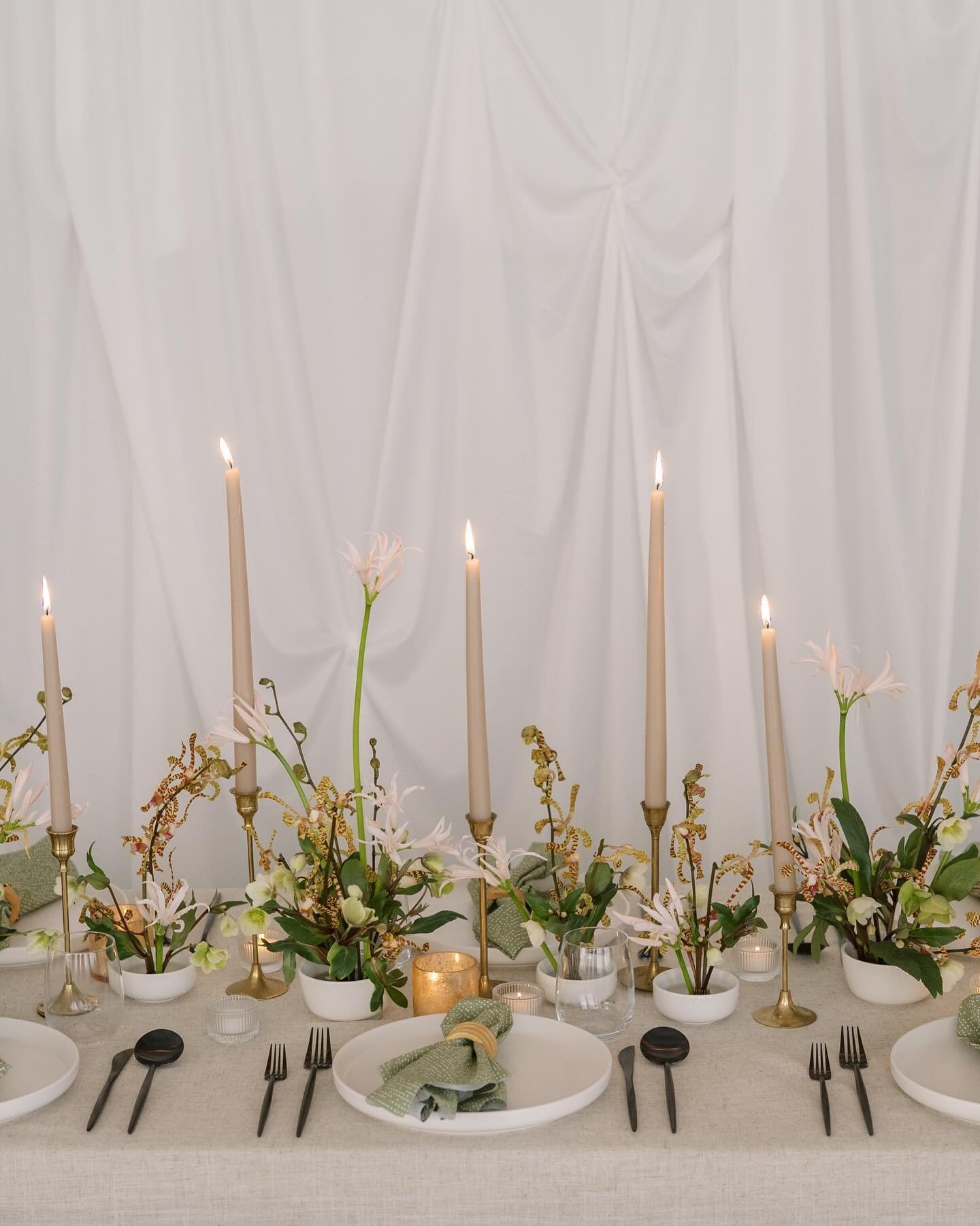 The beauty of focused ingredients and letting them shine. Love this unexpected combination with hellebore, nerines and orchids. 
.
.
.
Photographer: @alyssalizarragaphoto 
Design &amp; planning: @solstice_bloom 
Floral design: @solstice_bloom 
.
.
.
