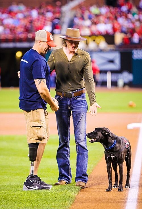 Don sullivan dog training collar hotsell