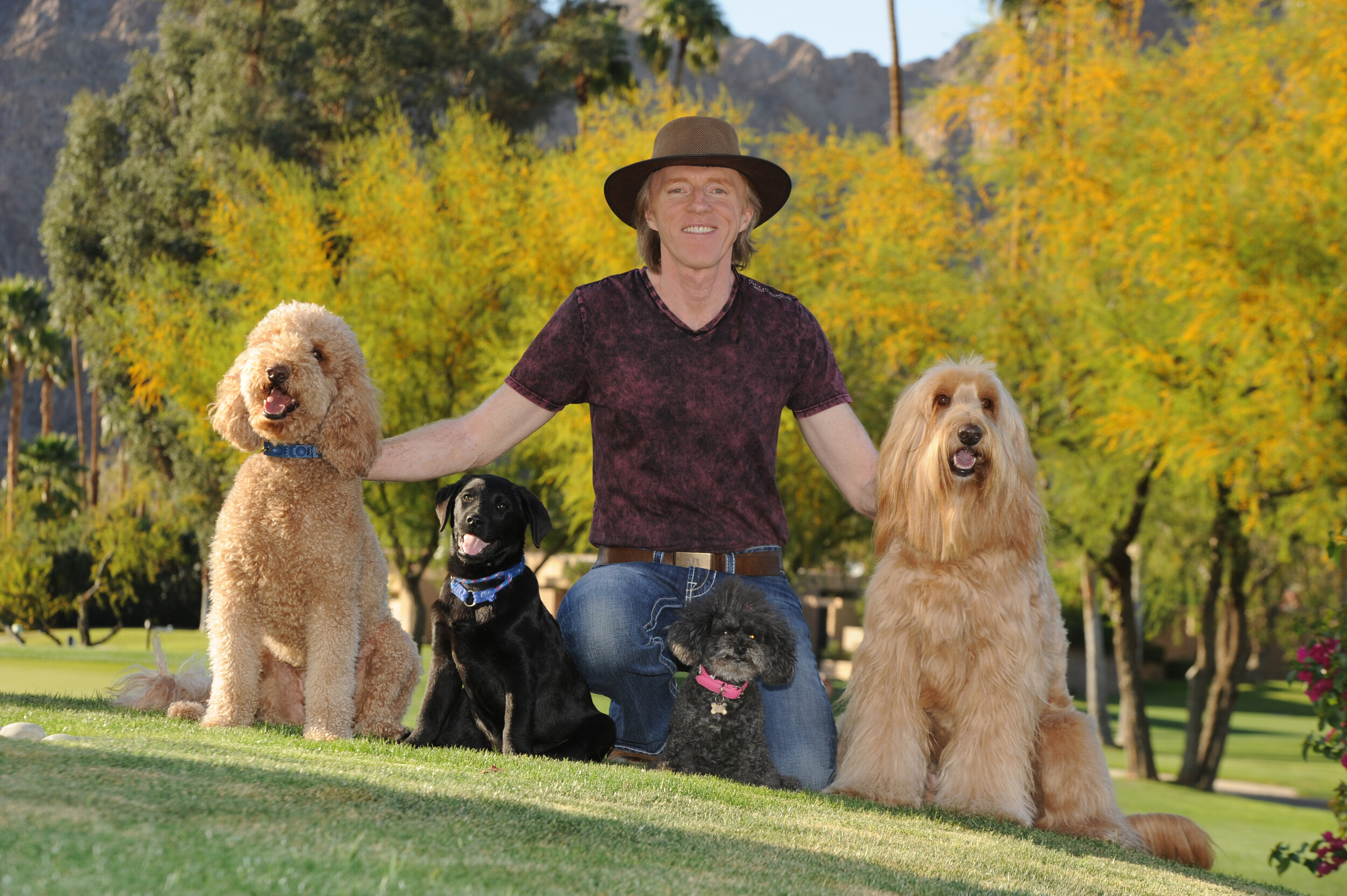 don sullivan dog training