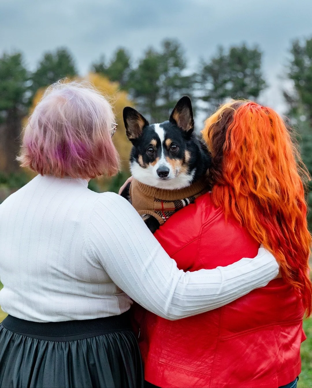 A chilly, cloudy day at @mistletoechristmastreefarm with Sarah and Remy (and of course Crowley!!!) &mdash; honestly, it doesn&rsquo;t get more New England than this.
