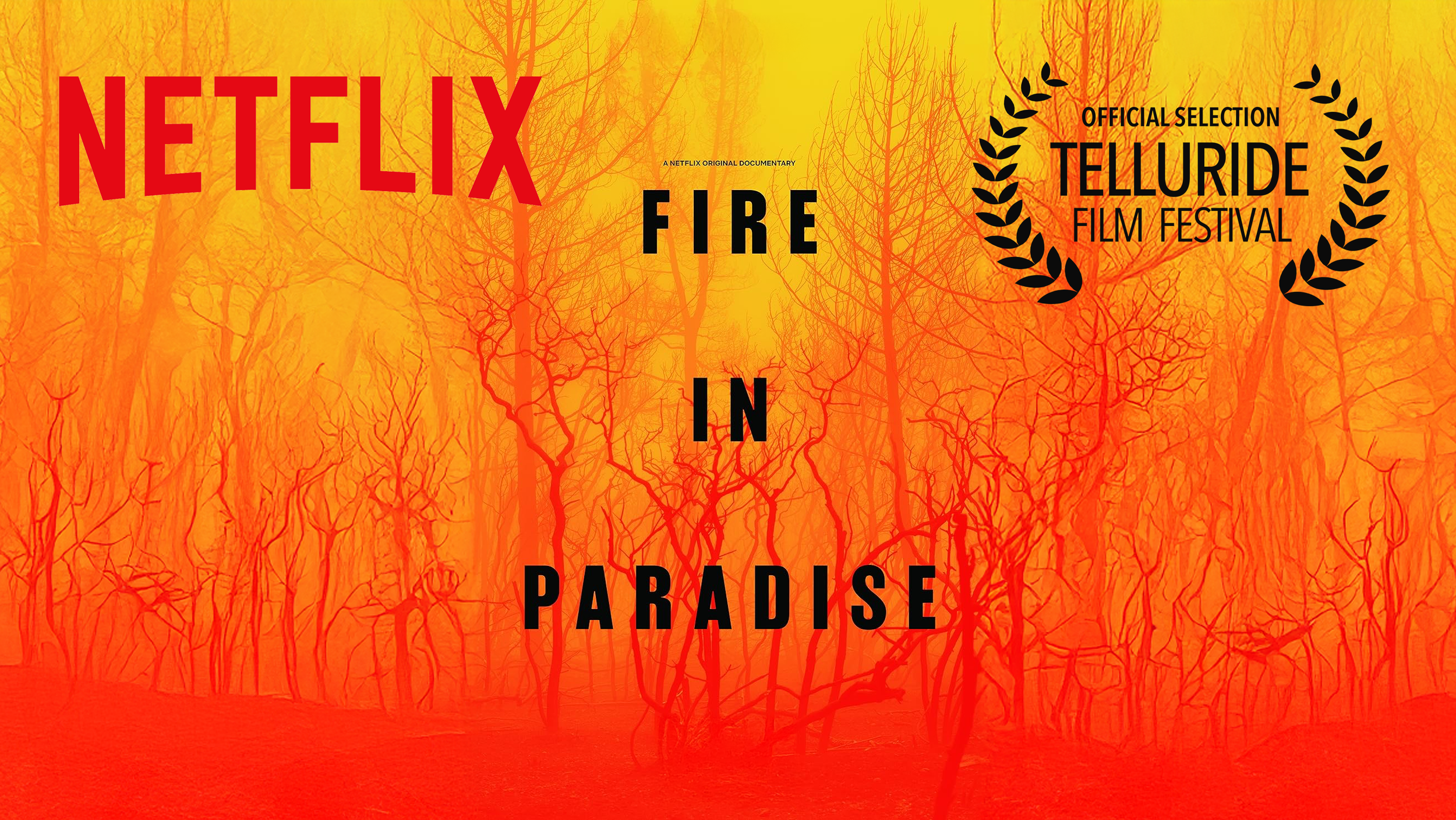                         

 
    CLIENT:  Netflix  DIRECTOR:  Zack Canepari &amp; Drea Cooper  PRODUCER:  Gary Kout  DP:  Tyler Maddox &amp; John H.L. Baker   
 




















  
  



     