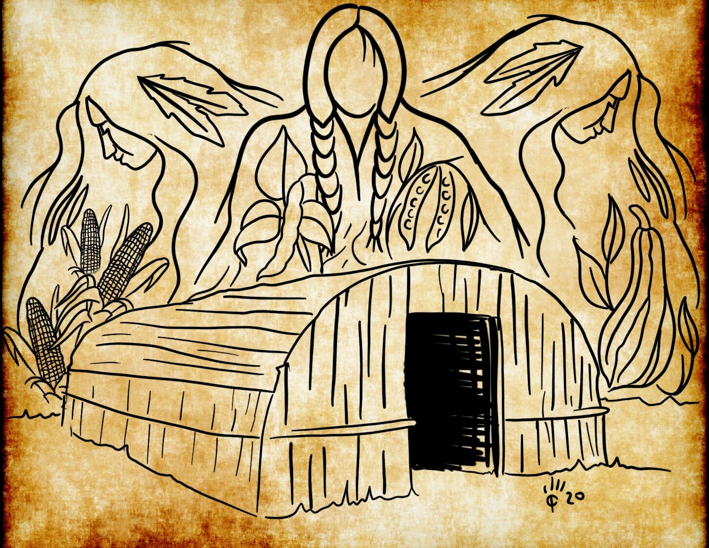 Drawing of a Haudenosaunee longhouse and the three sisters by © Cole Tidemann, Cayuga Nation, 2020.