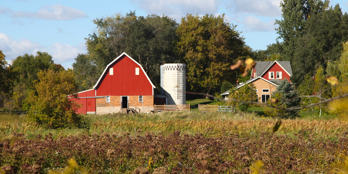   “The Fields at    Rootsprings    is stewarding liberating space for BIPOC artists, activists, healers, and community centering LGBTQ folx.”  
