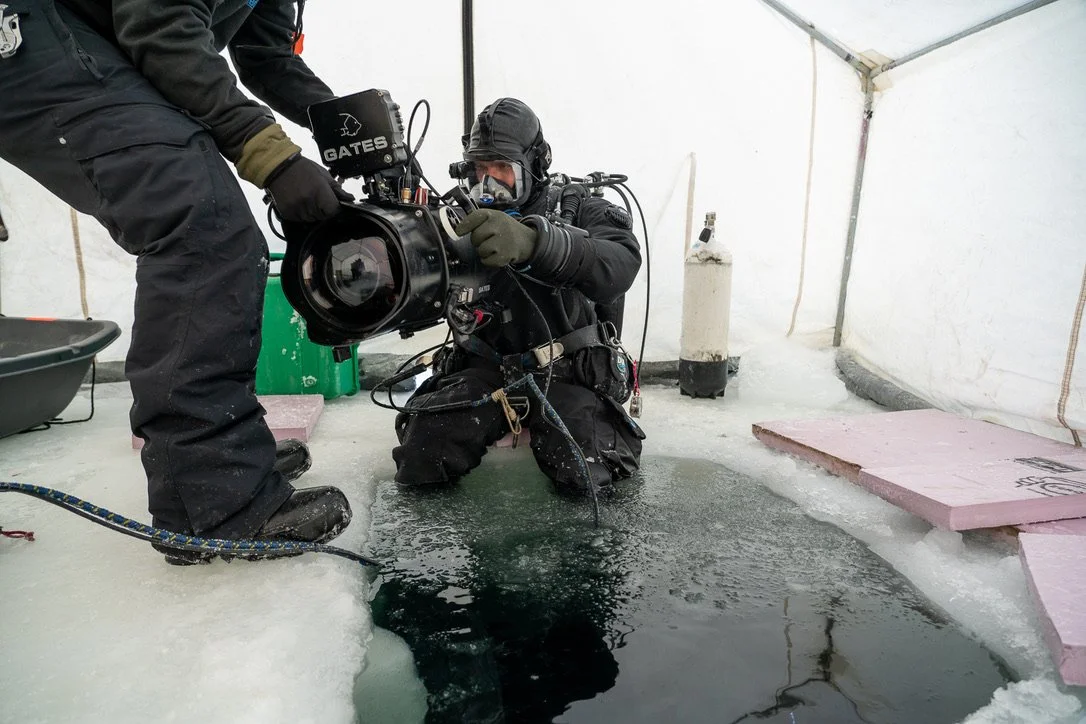 Bering Sea Gold
