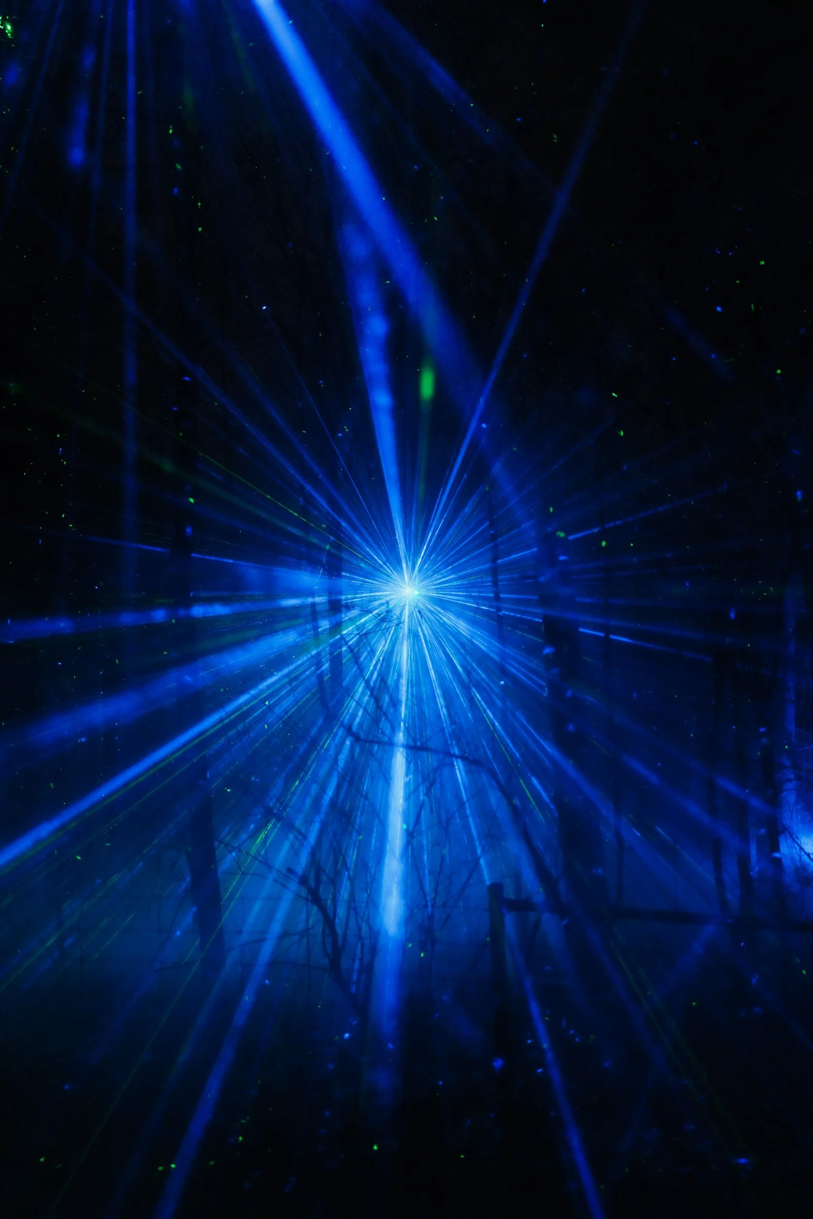 Embodied Awakening - Yes! - Self-Confirmation of what has always been True