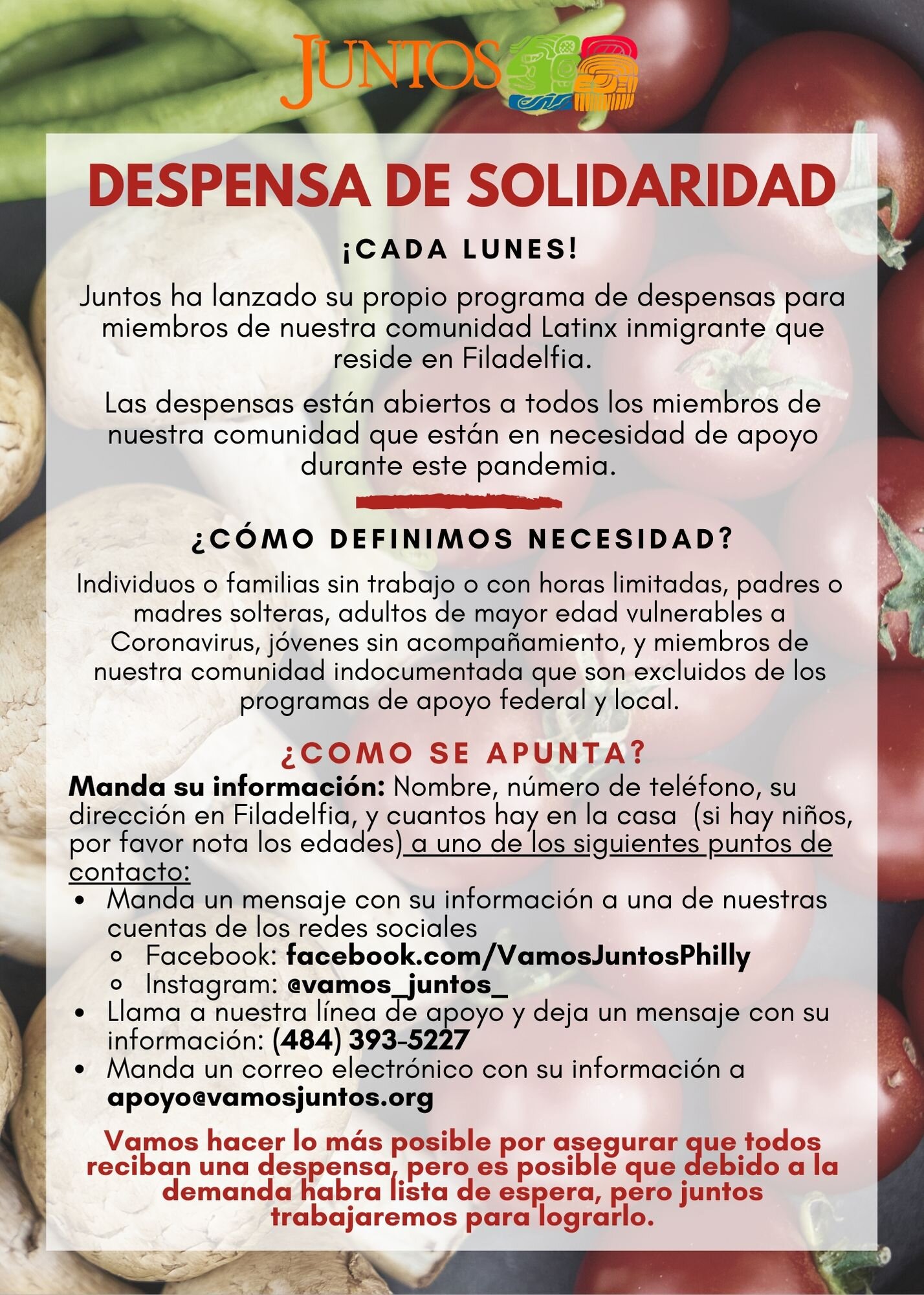 Durante este pandemia Juntos ha lanzado su propio programa de despensas para miembros de nuestra comunidad. - Manda su información a una de nuestras cuentas de los redes sociales o llama nuestra linea de apoyo o manda un correo electrónico de apoyo@vamosjuntos.org