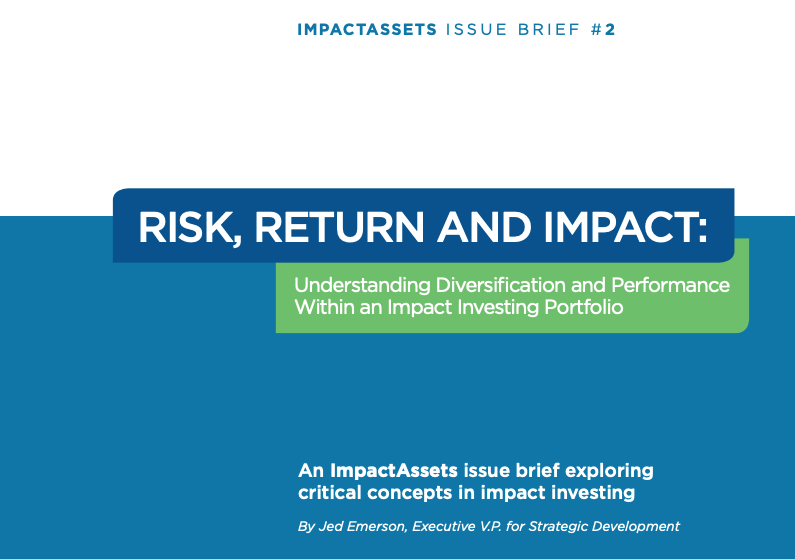 Risk, Return and Impact: Understanding Diversification and Performance within an Impact Portfolio