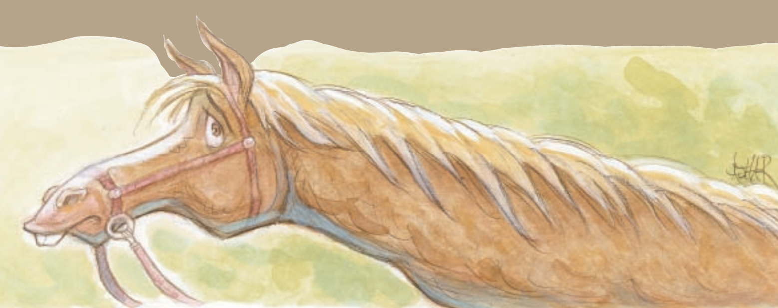 Horse Manure and Grantmaking