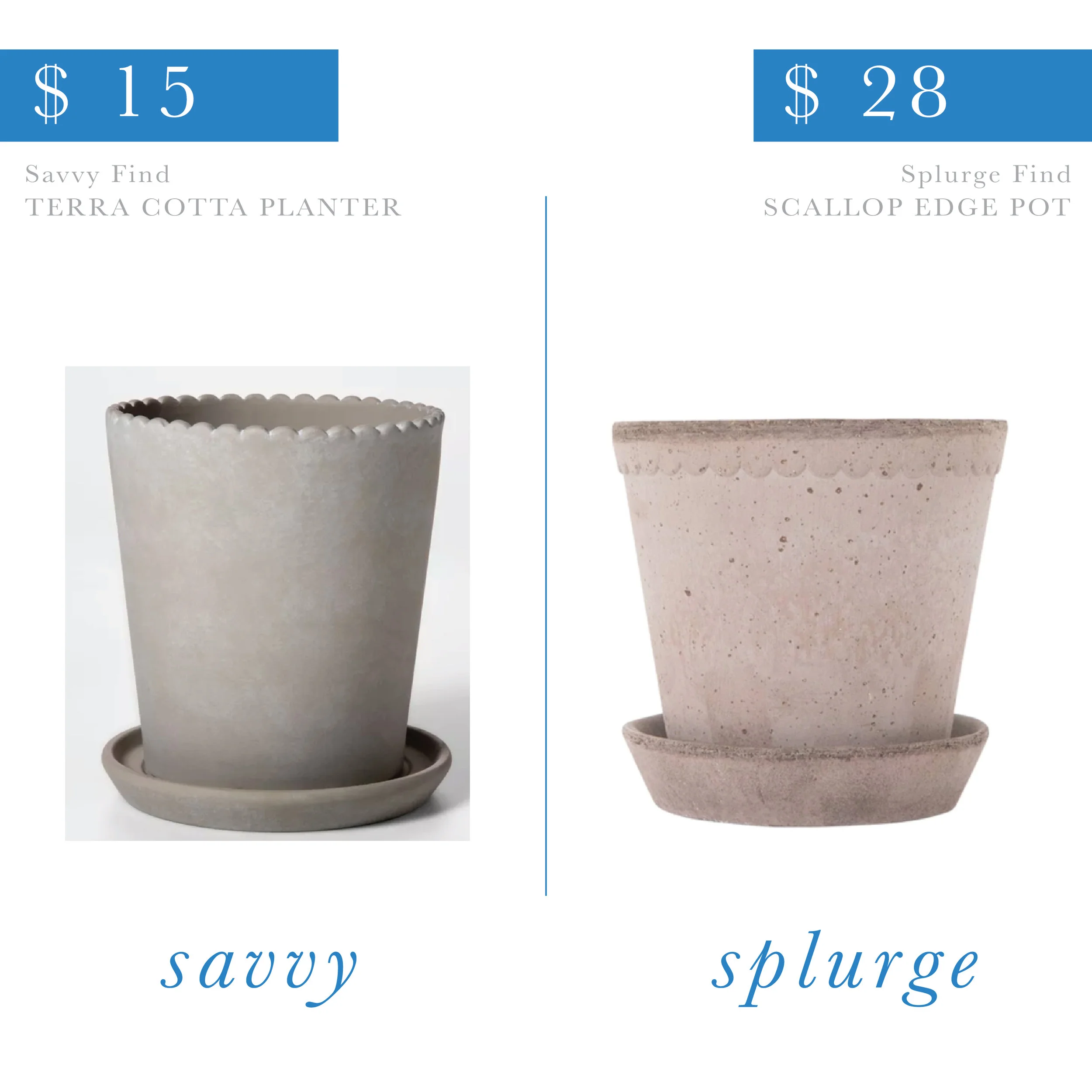 Scalloped Terracotta Pot