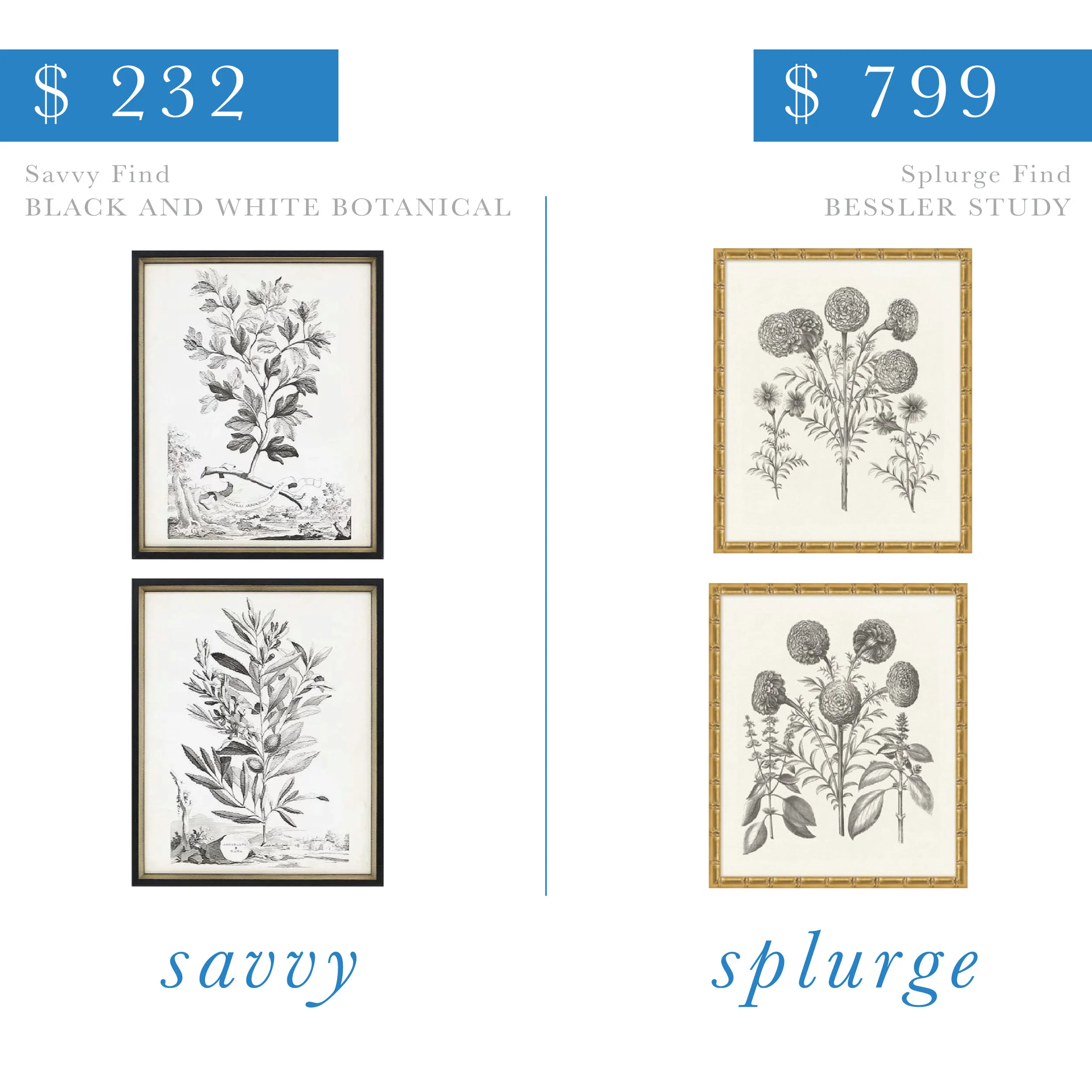 Black and White Botanical Art Set