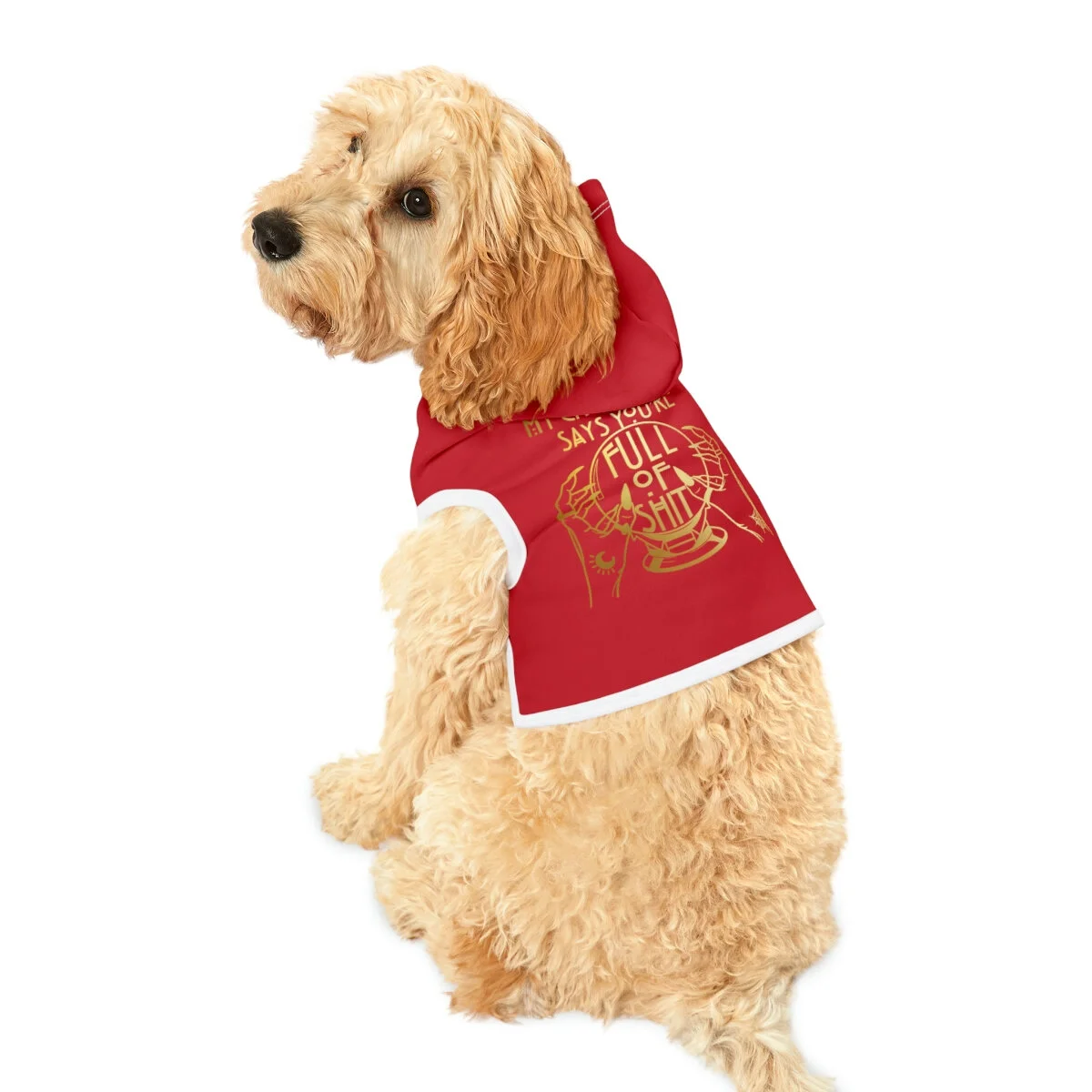Game of online thrones dog sweater