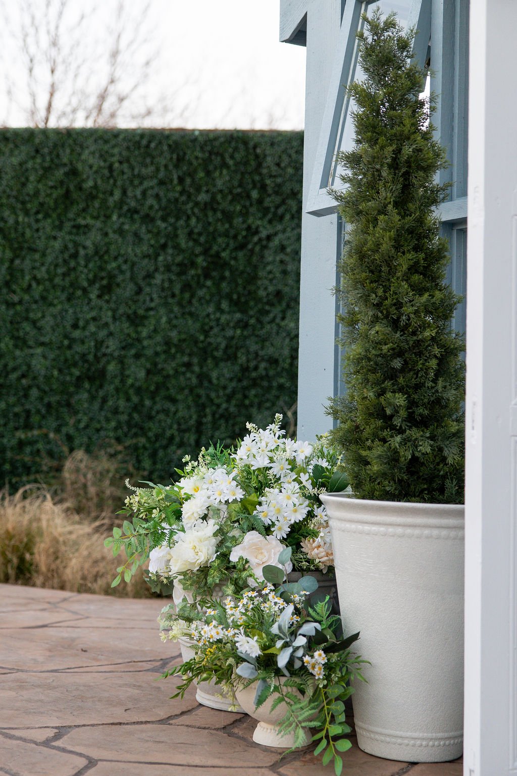 Potted greenery and white flowers outside a house, with a large green hedge and white house wall in the background.