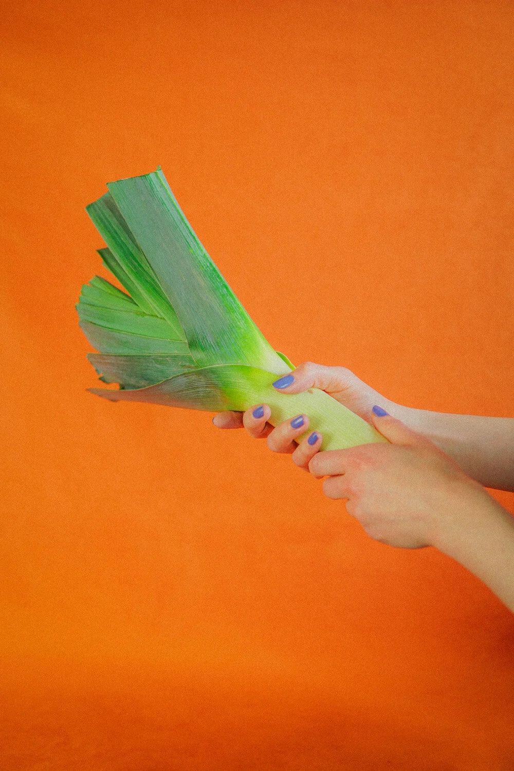 Leek Paddle