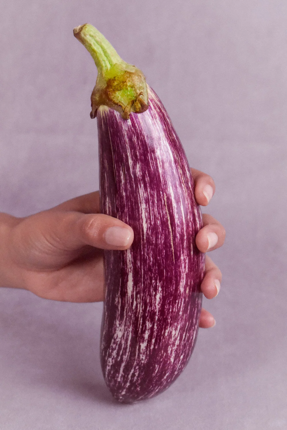 Mosaic Eggplant