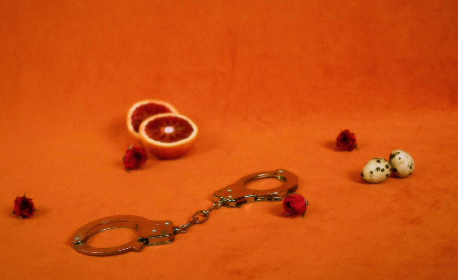 Get kinky with our Adventure Collection