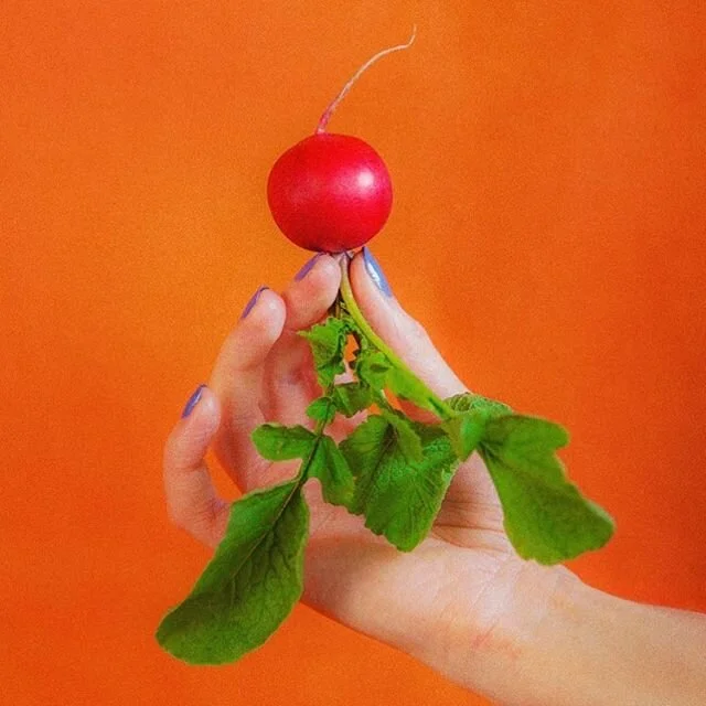 Check out our gorgeous Radish plugs! So plump, so fresh! #letsgetadventurous 🍑
&bull;
&bull;
&bull;
#butt #buttplug #radish #organic #allnatural #analplug #naturelife #healing #healingjourney #healingvibrations #healingenergy #energy #adventure #int
