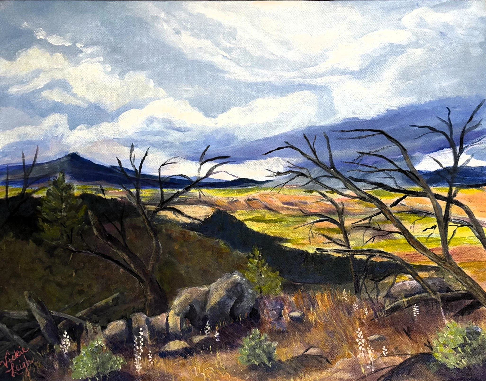 Sticks and Stones and Rain Clouds-Black Canyon of the Gunnison-FRONT.jpeg