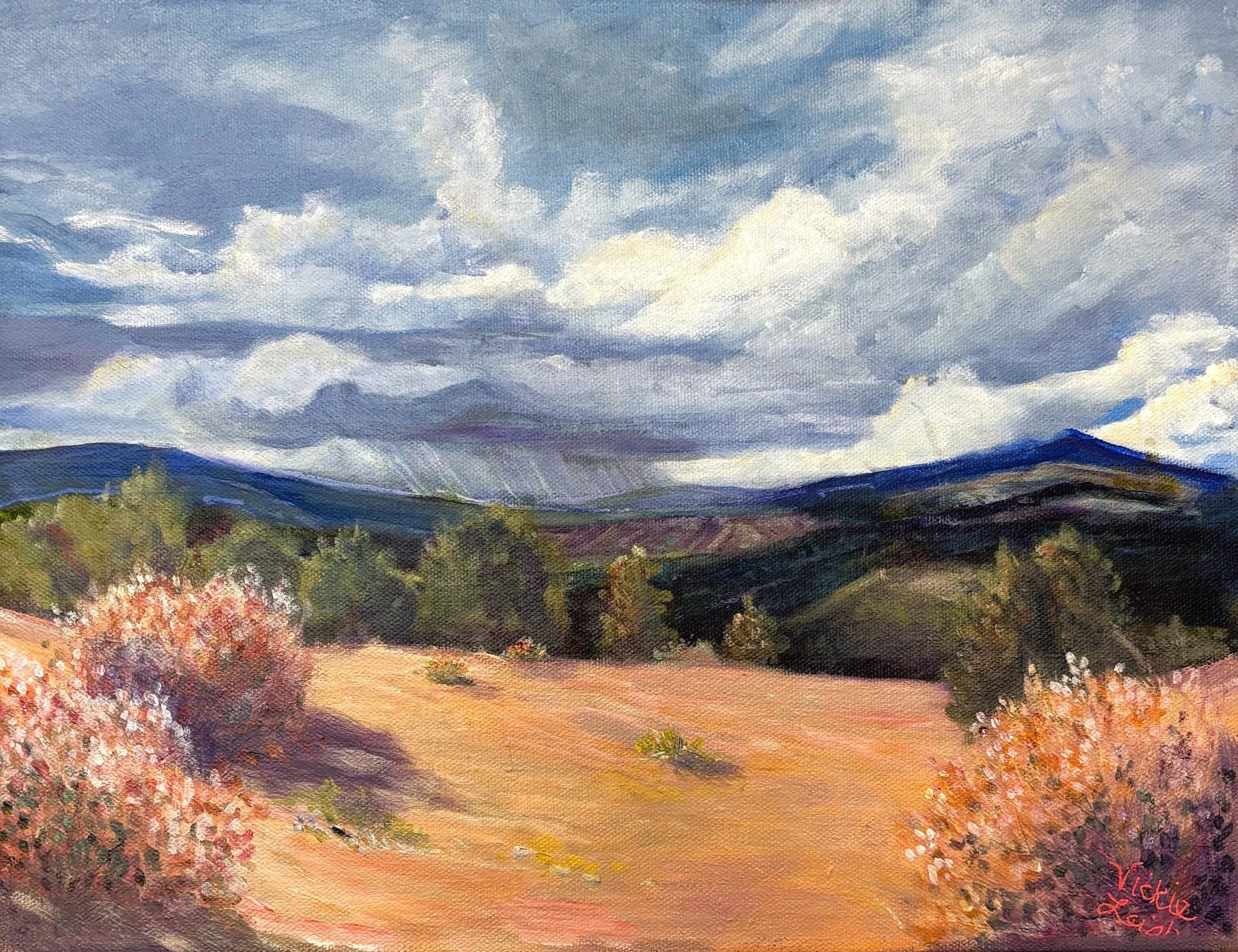 Stormy Skies-Black Canyon of the Gunnison-Front.jpeg
