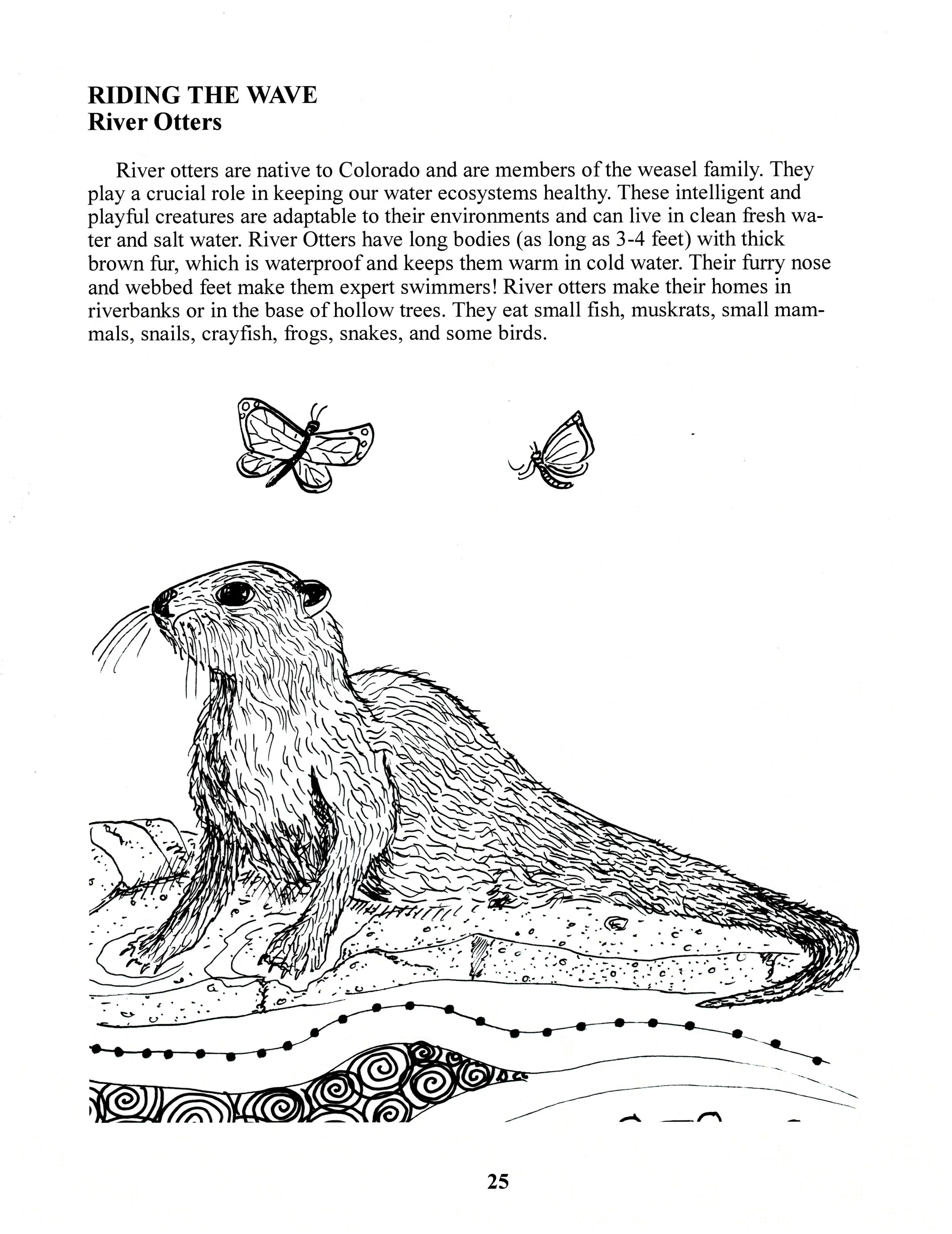 Riding the Wave-River Otter.jpg