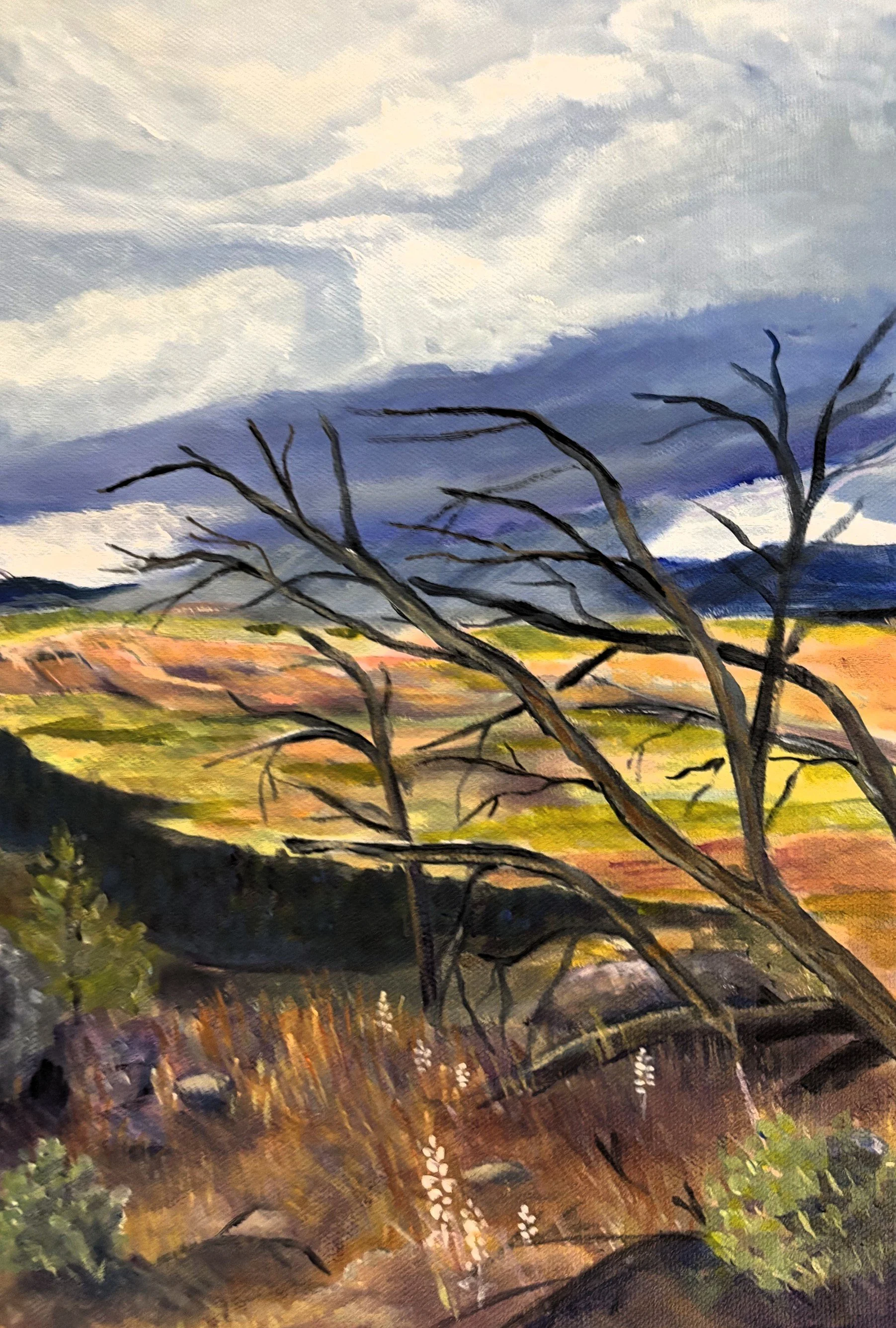 Sticks and Stones and Rain Clouds-Black Canyon of the Gunnison-Closeup 2.jpeg