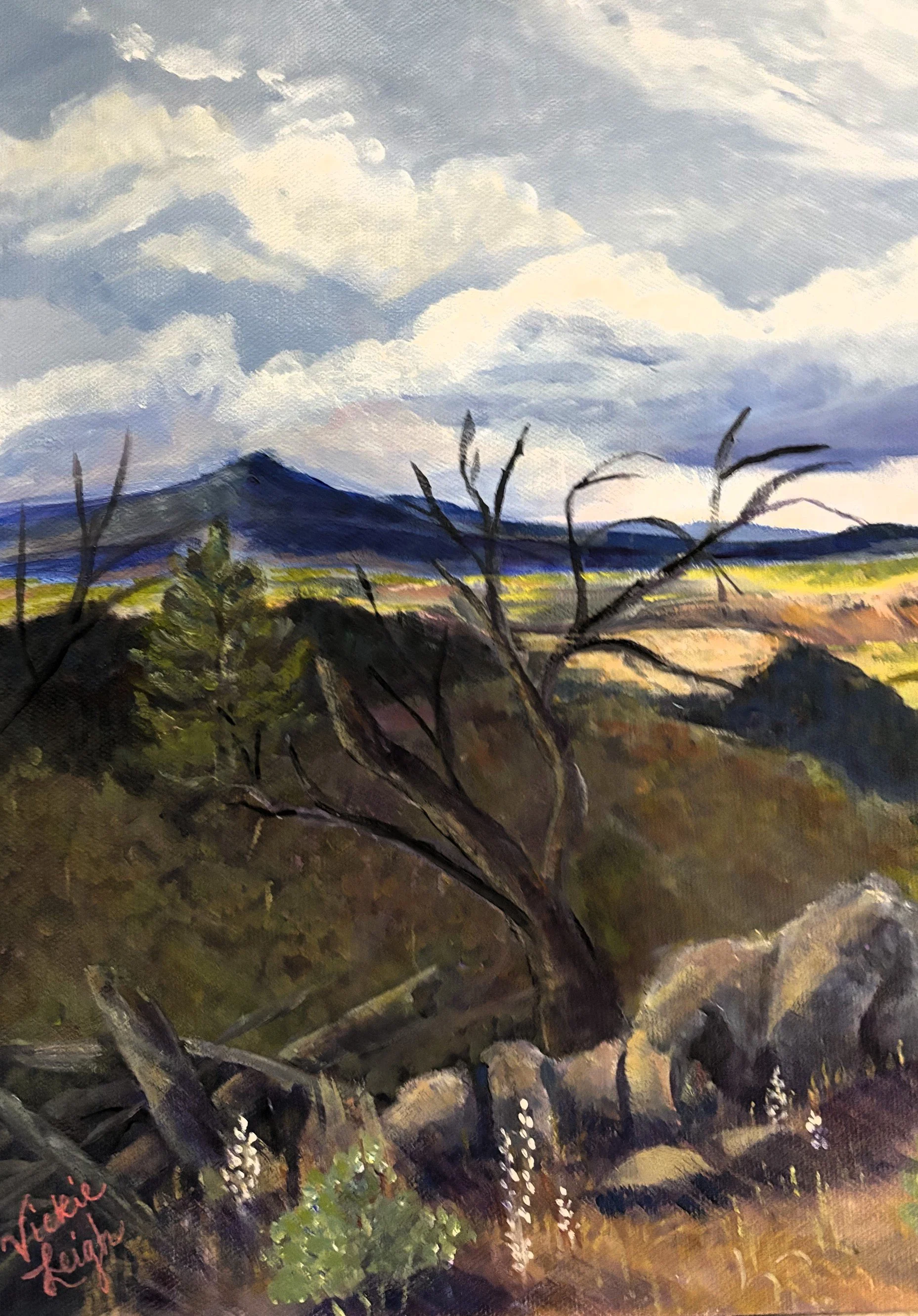 Sticks and Stones and Rain Clouds-Black Canyon of the Gunnison-Close Up 1.jpeg