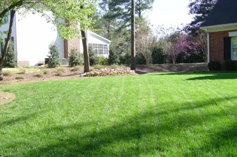 Champion Green Chattanooga Lawn Care Services