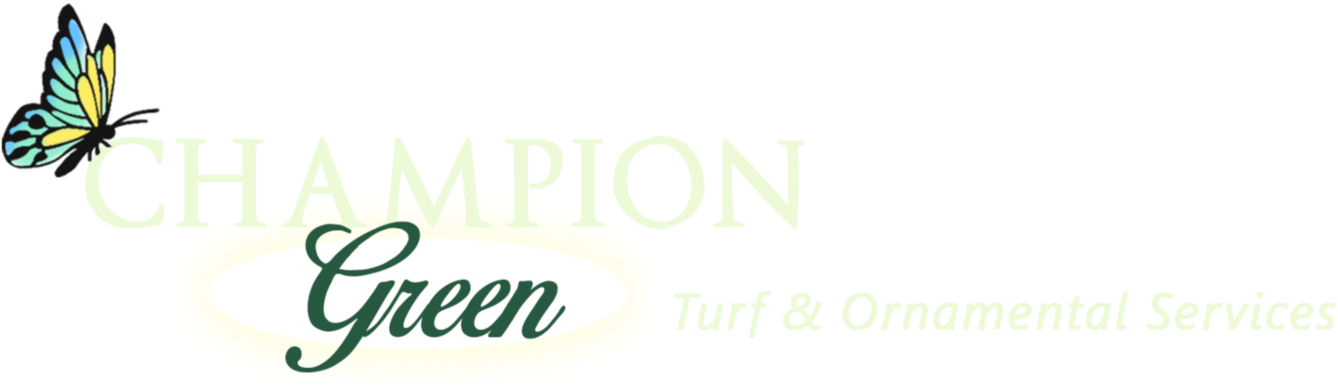 Champion Green