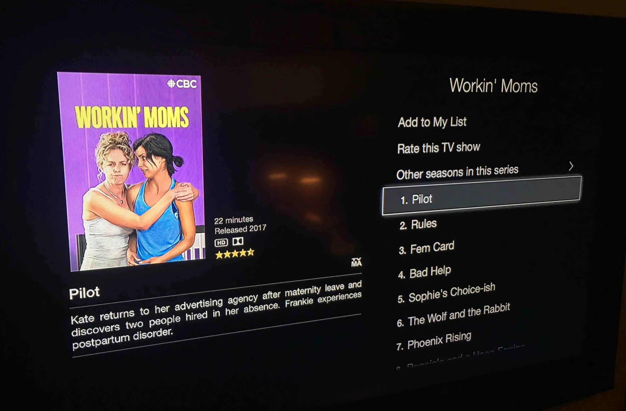 Workin Moms Netflix.jpg