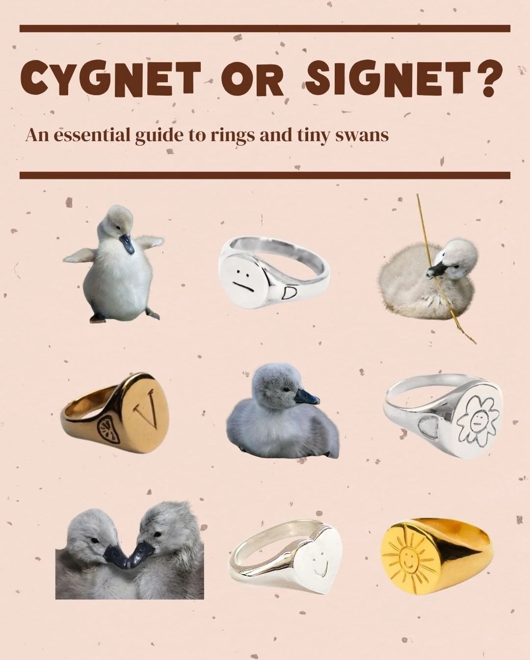 A spotters guide: know your jewellery from your downy waterfowl. It&rsquo;s important not to get these two mixed up so save this for future reference 🐣