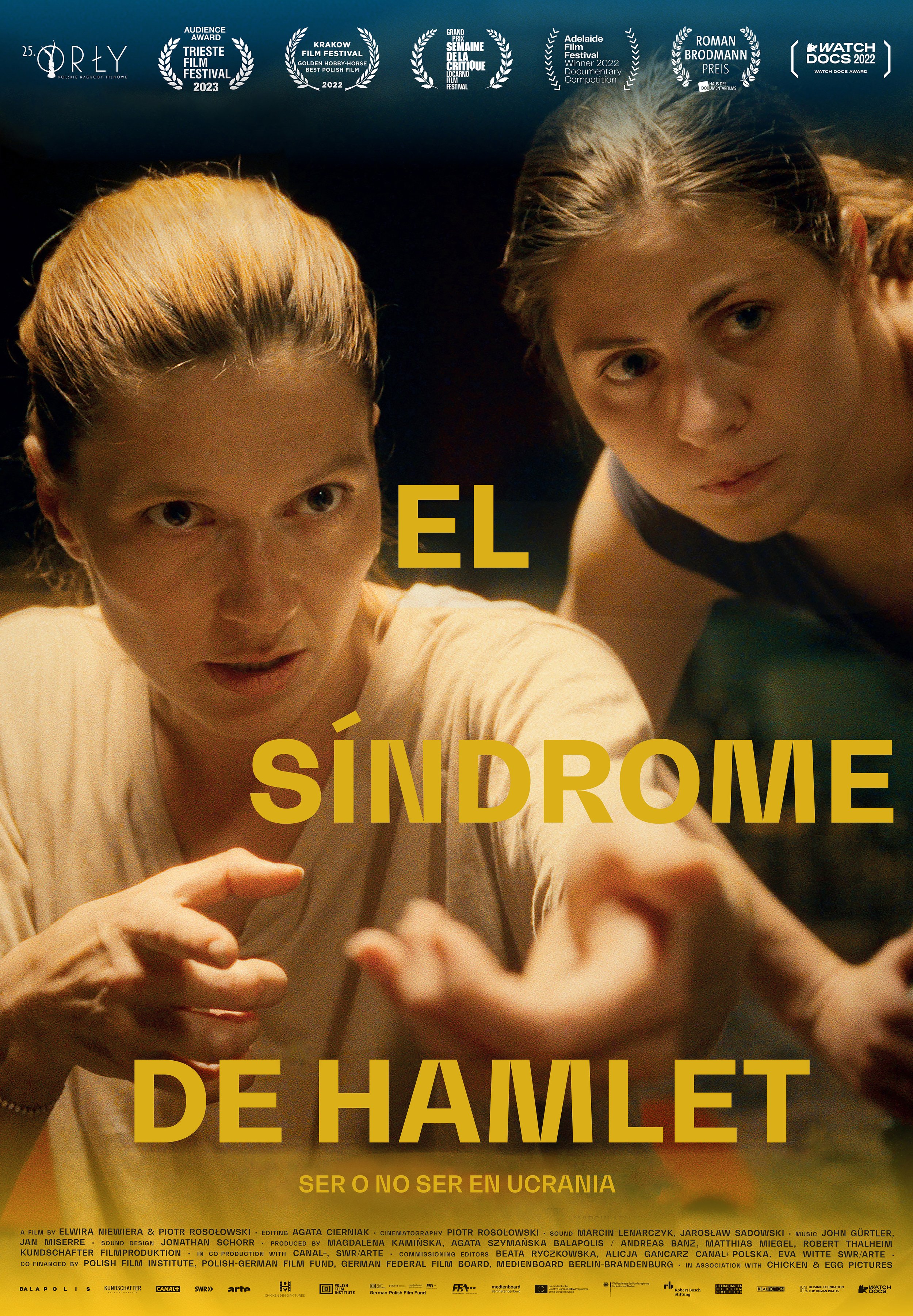 Cartel_Sindrome_Hamlet_ES.jpg