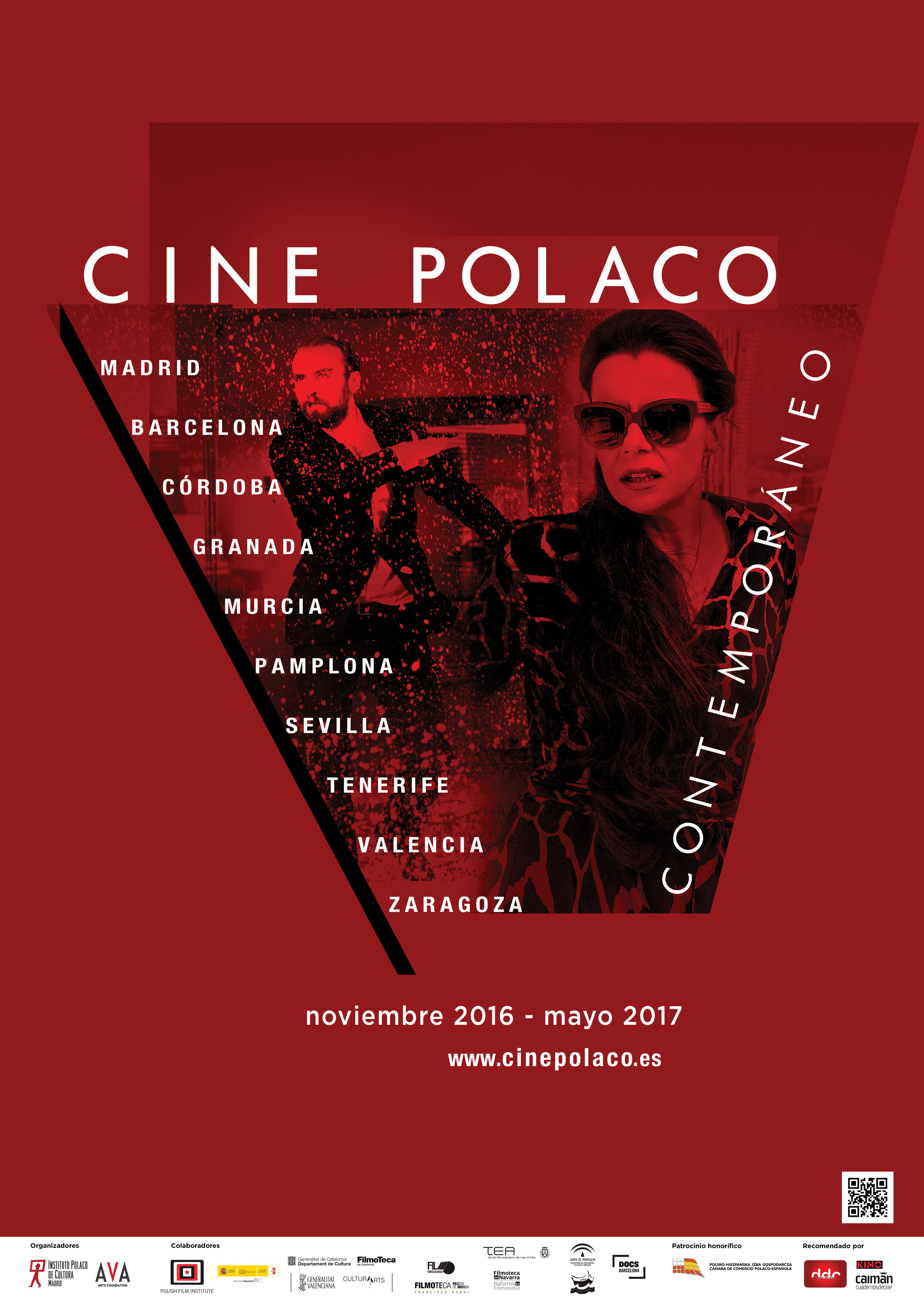 cartel CINE POLACO_2016.jpg