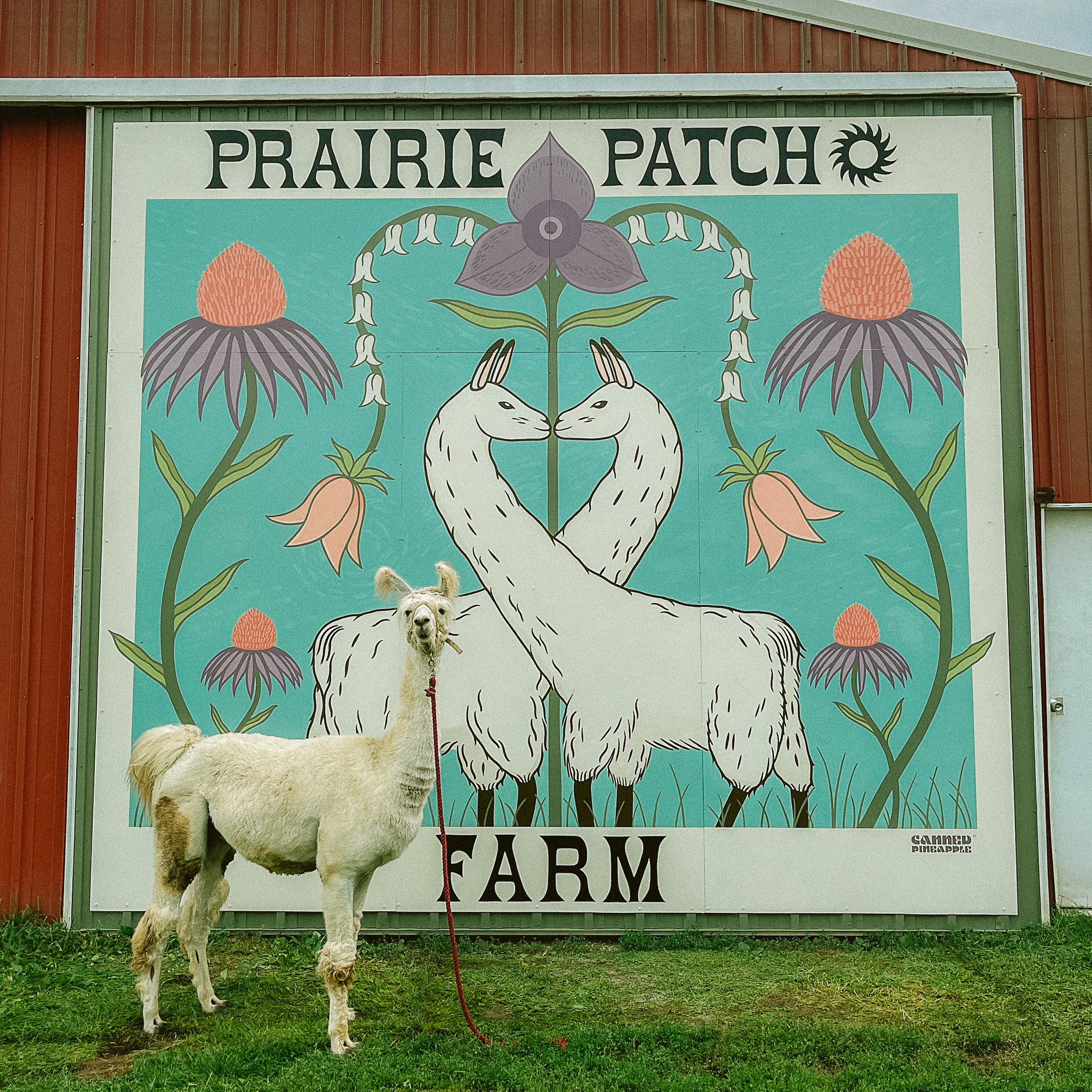 Prairie Patch Farm