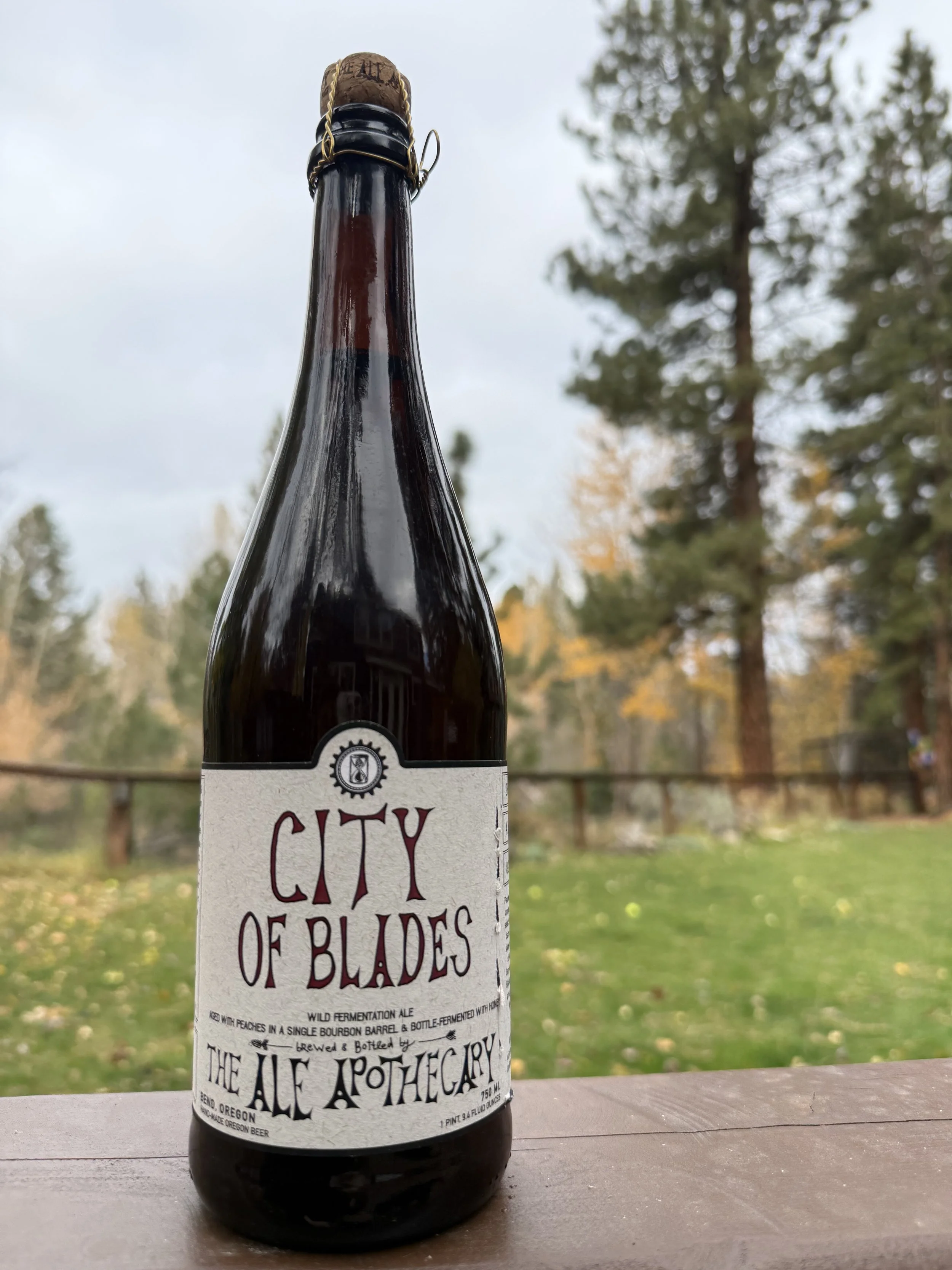 2022 - City of Blades