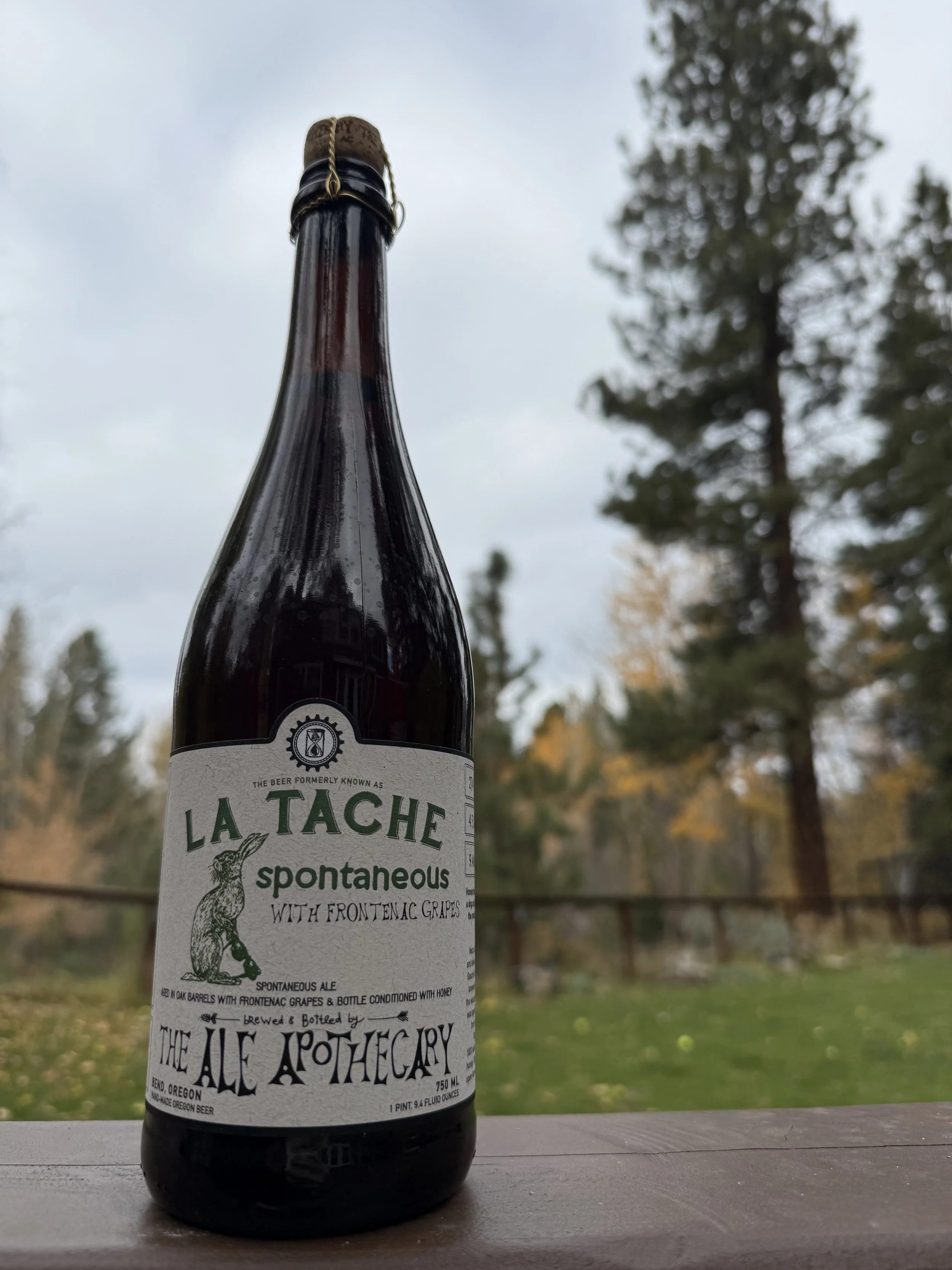 2022 - La Tache Spontaneous with Frontenac Grapes