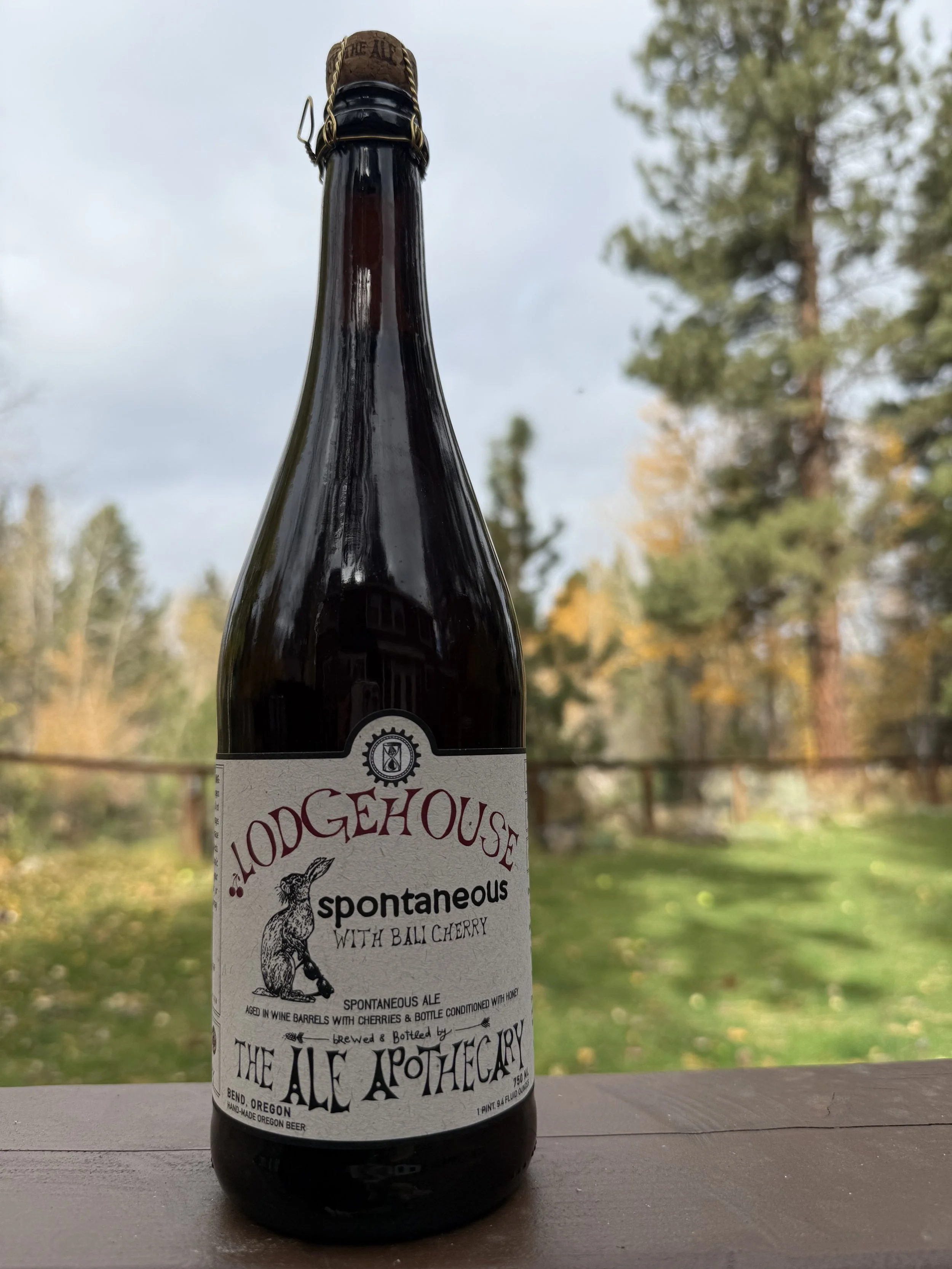 2022 - Lodgehouse (Bali Cherry)