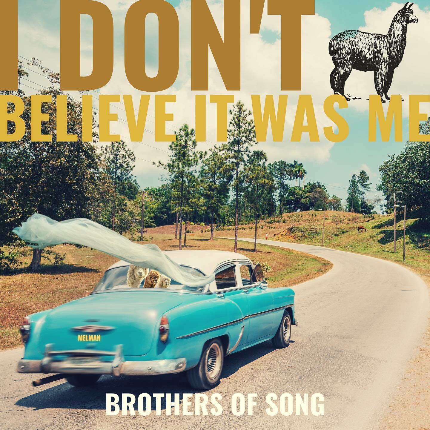 New Single coming soon, by brother Melman. What did he do?