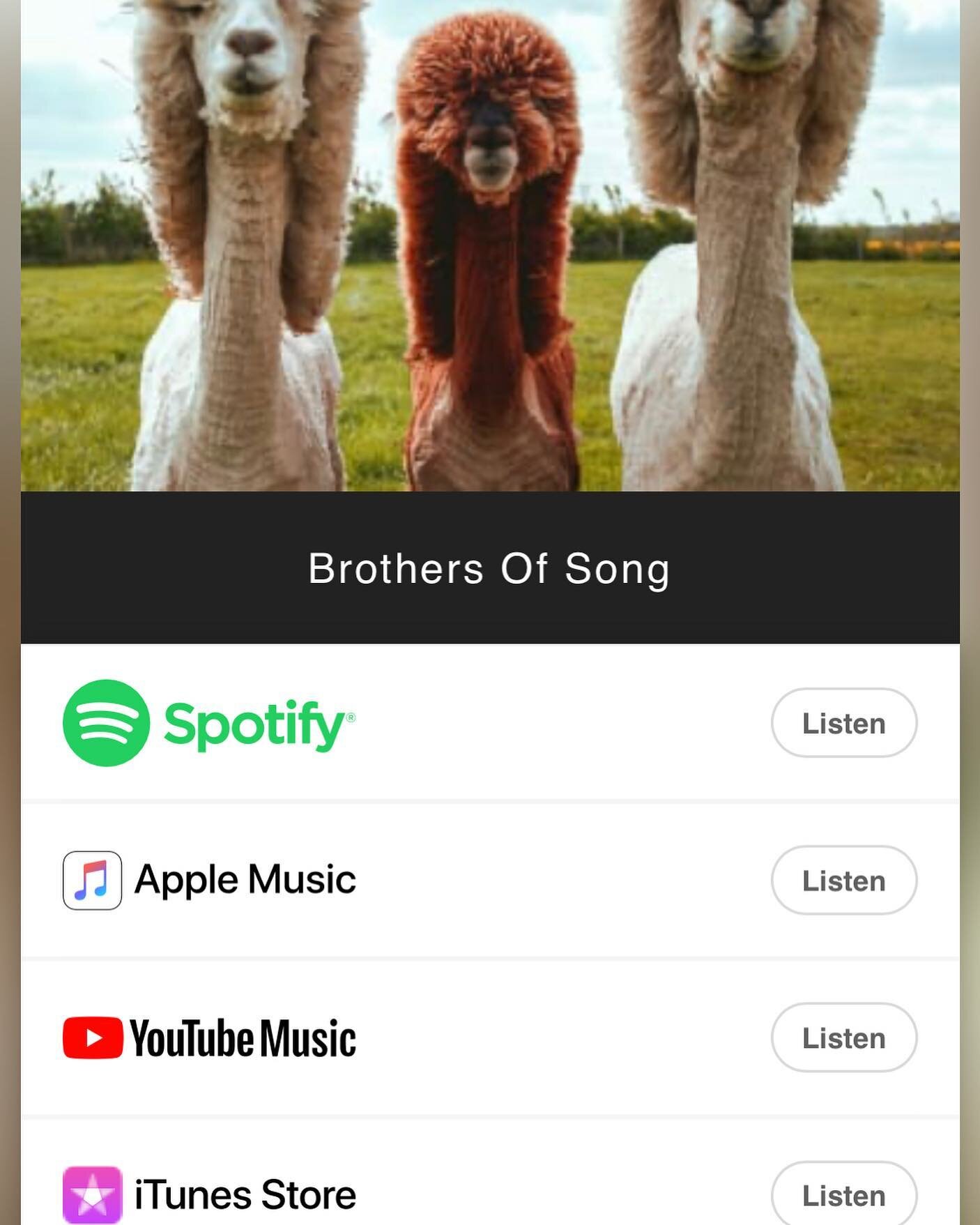 New link in bio posted to listen to our music on your favourite platform! #torontomusicians #torontoartist #newmusicalert #newmusiccomingsoon #brothersofsong #alpaca