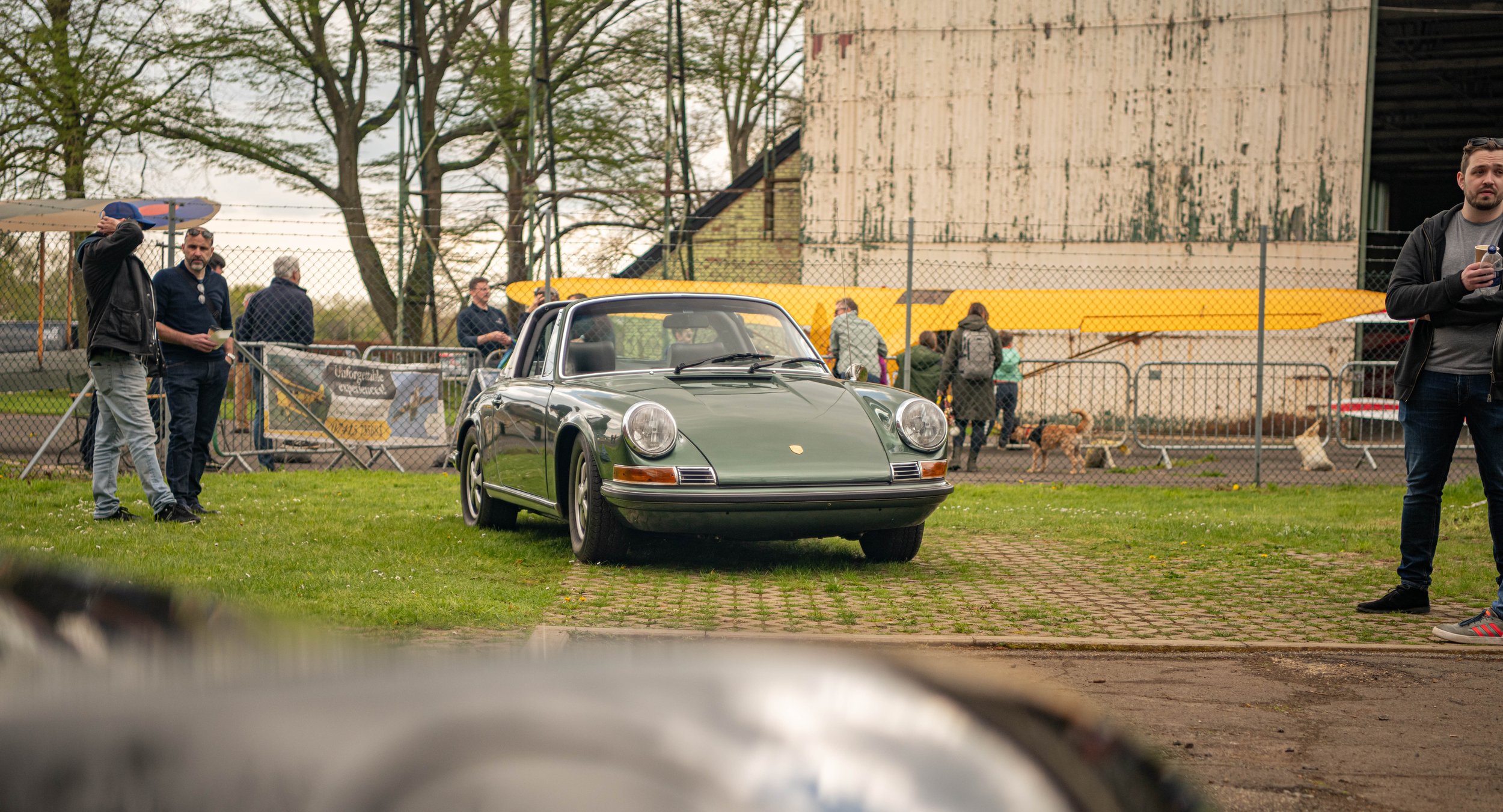 DSC_8391.jpg