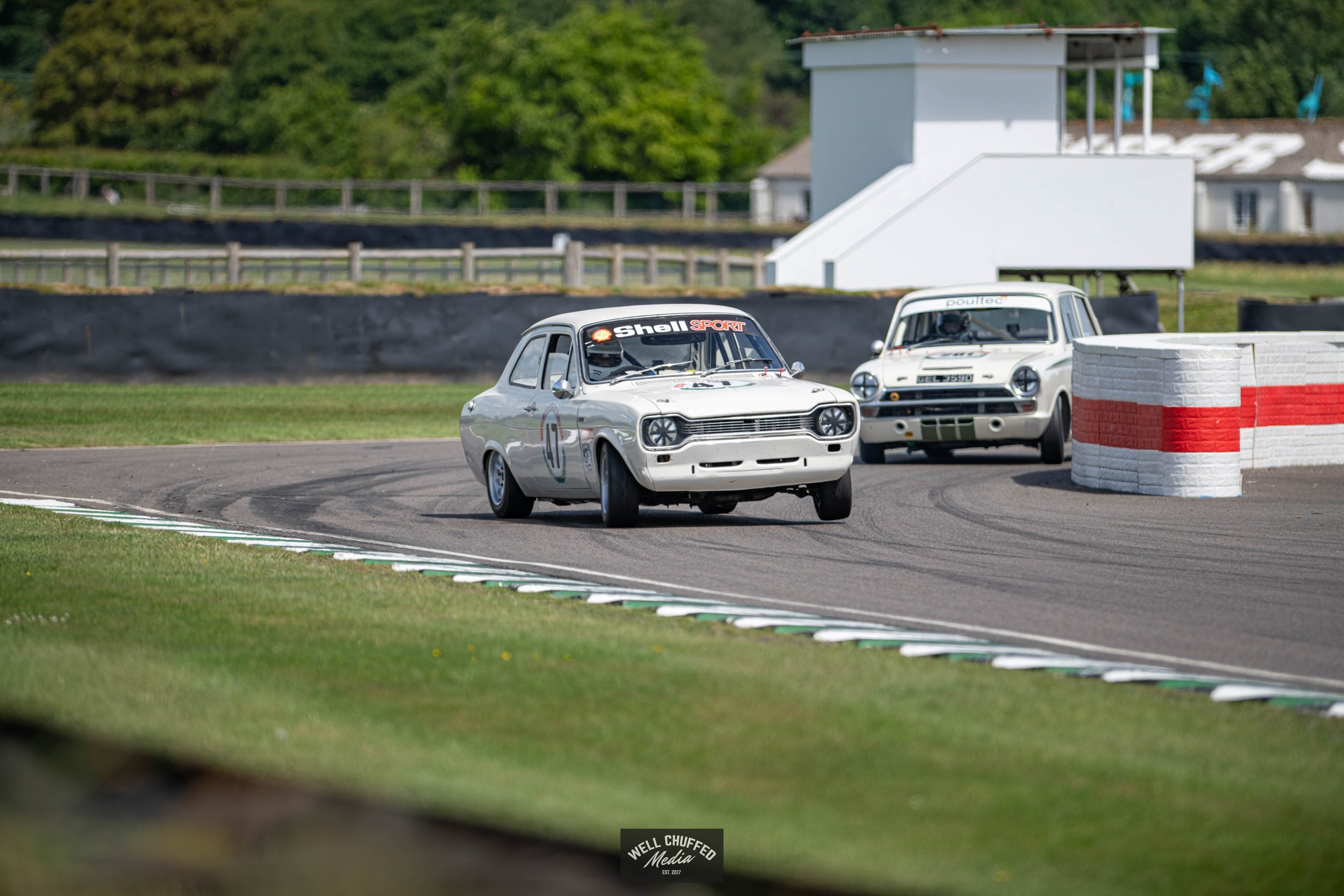 DSC_7621.jpg