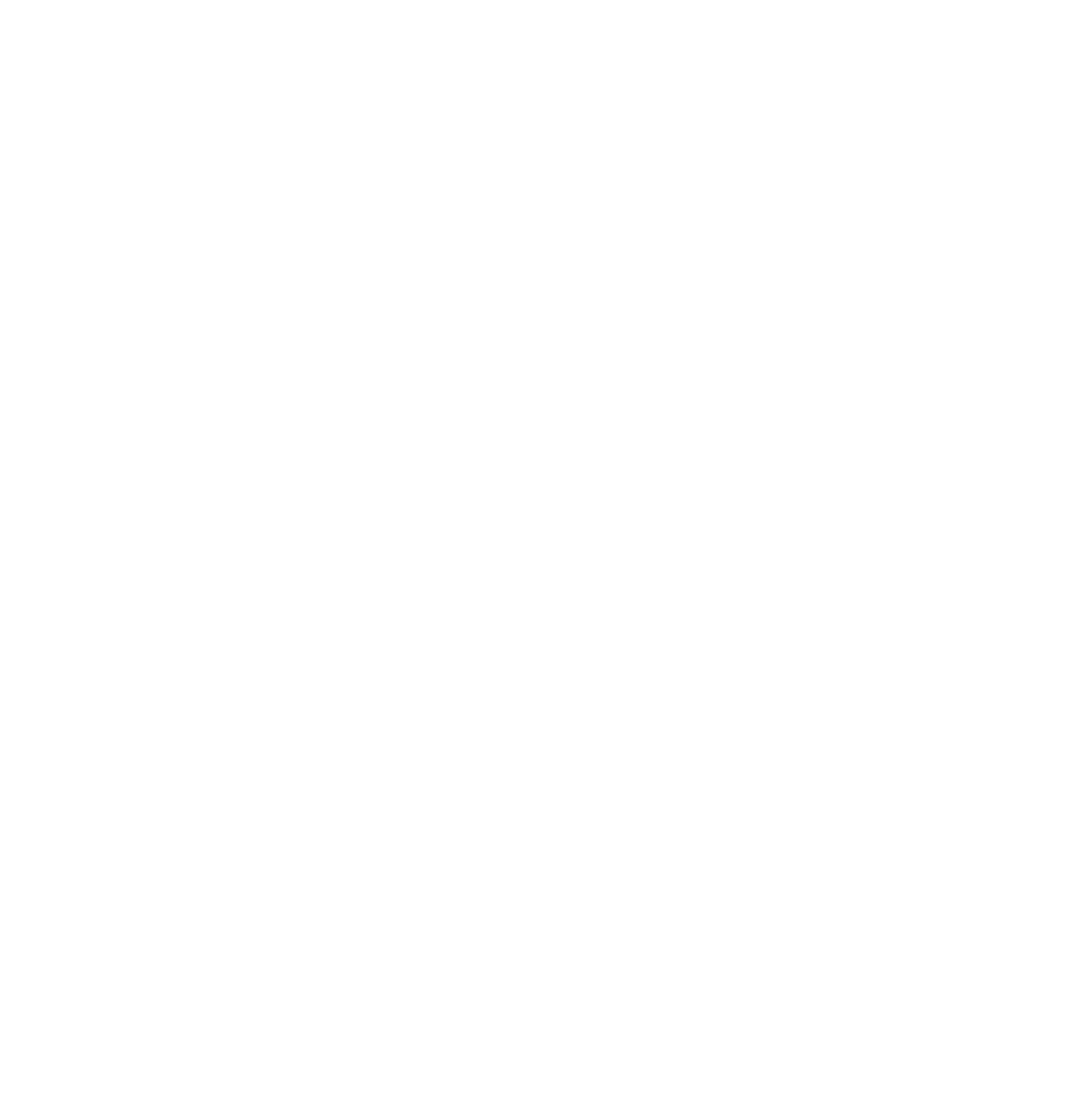 CanyonPartners_VectorLogo_WHITE.png