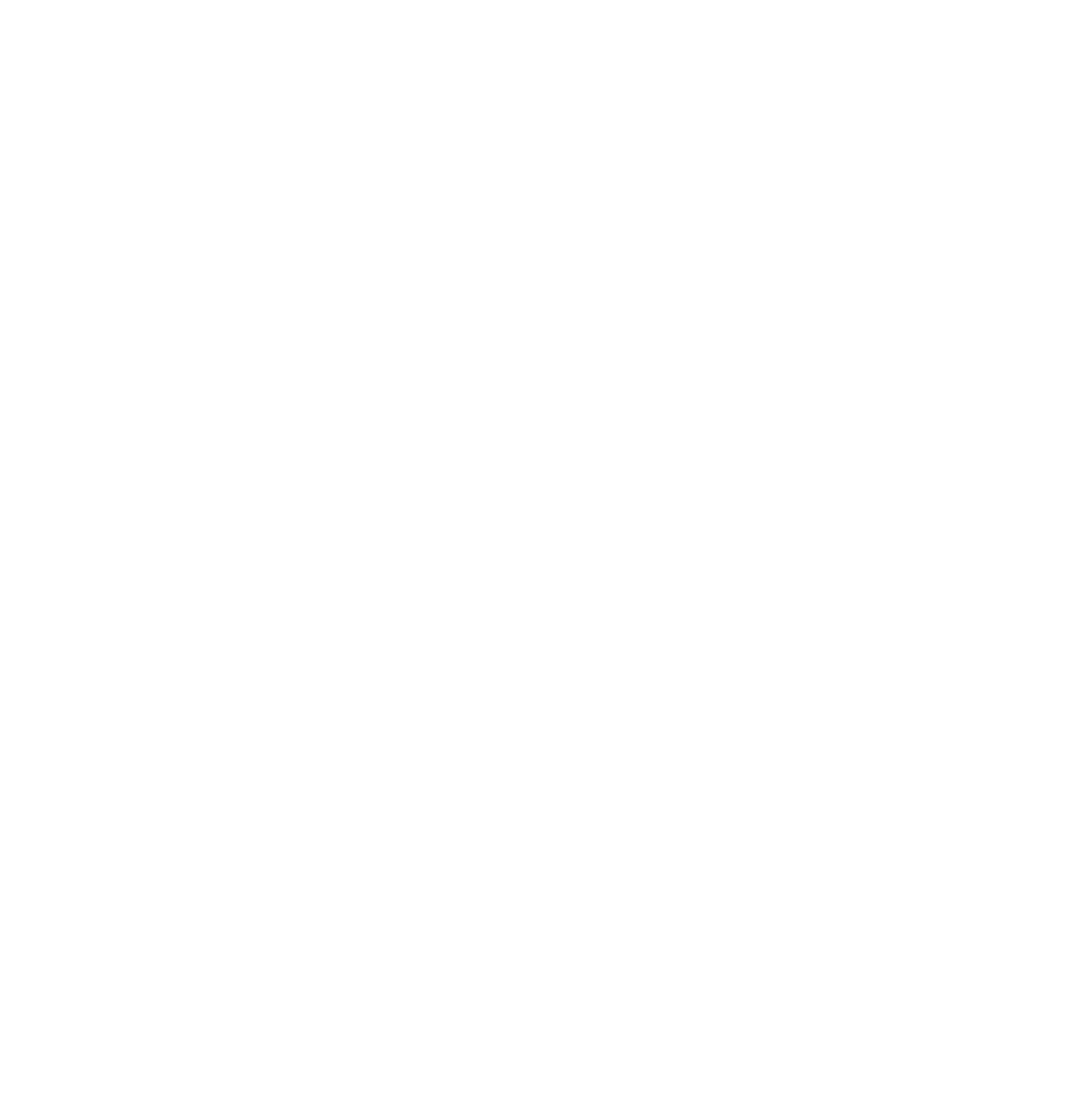 CanyonPartners_VectorLogo_WHITE.png