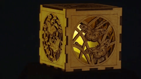butfly_box.gif